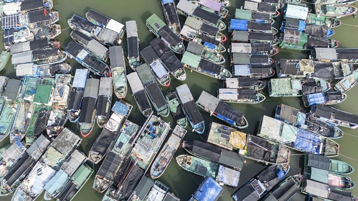 Tàu cá tìm nơi tránh trú tại một cảng cá ở tỉnh Hải Nam, miền Nam Trung Quốc, đối phó với ảnh hưởng của bão Fengshen ngày 19/10/2025. baofeng-9406.jpg