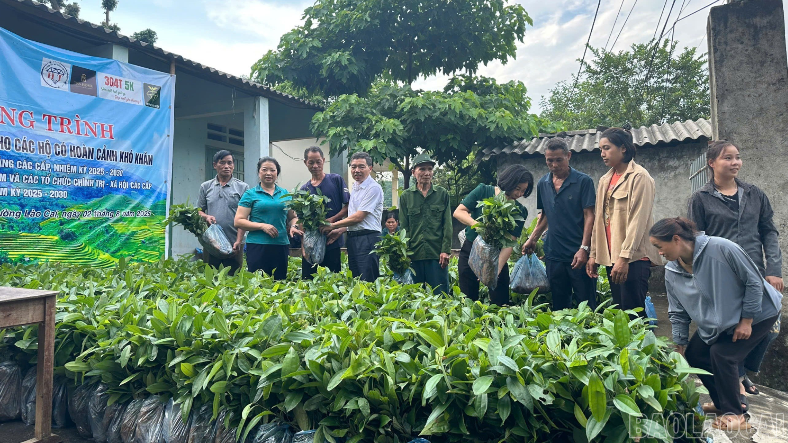 Dați răsaduri familiilor sărace. baolaocai-br_z7173661801063-a8864f0d11458f8a0ad8379d8b6b5070.jpg