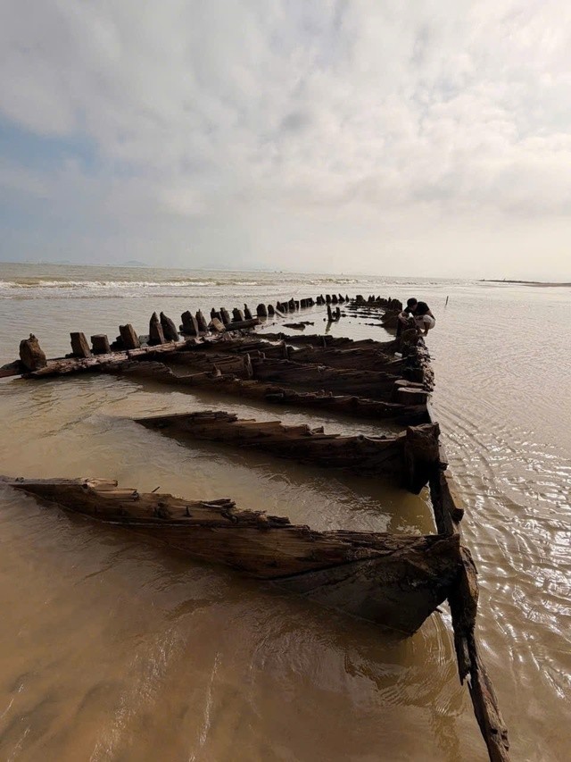 Hình ảnh một khoang tàu với vách ngăn bằng gỗ thông, lòng khoang sâu khoảng 1,6 m.