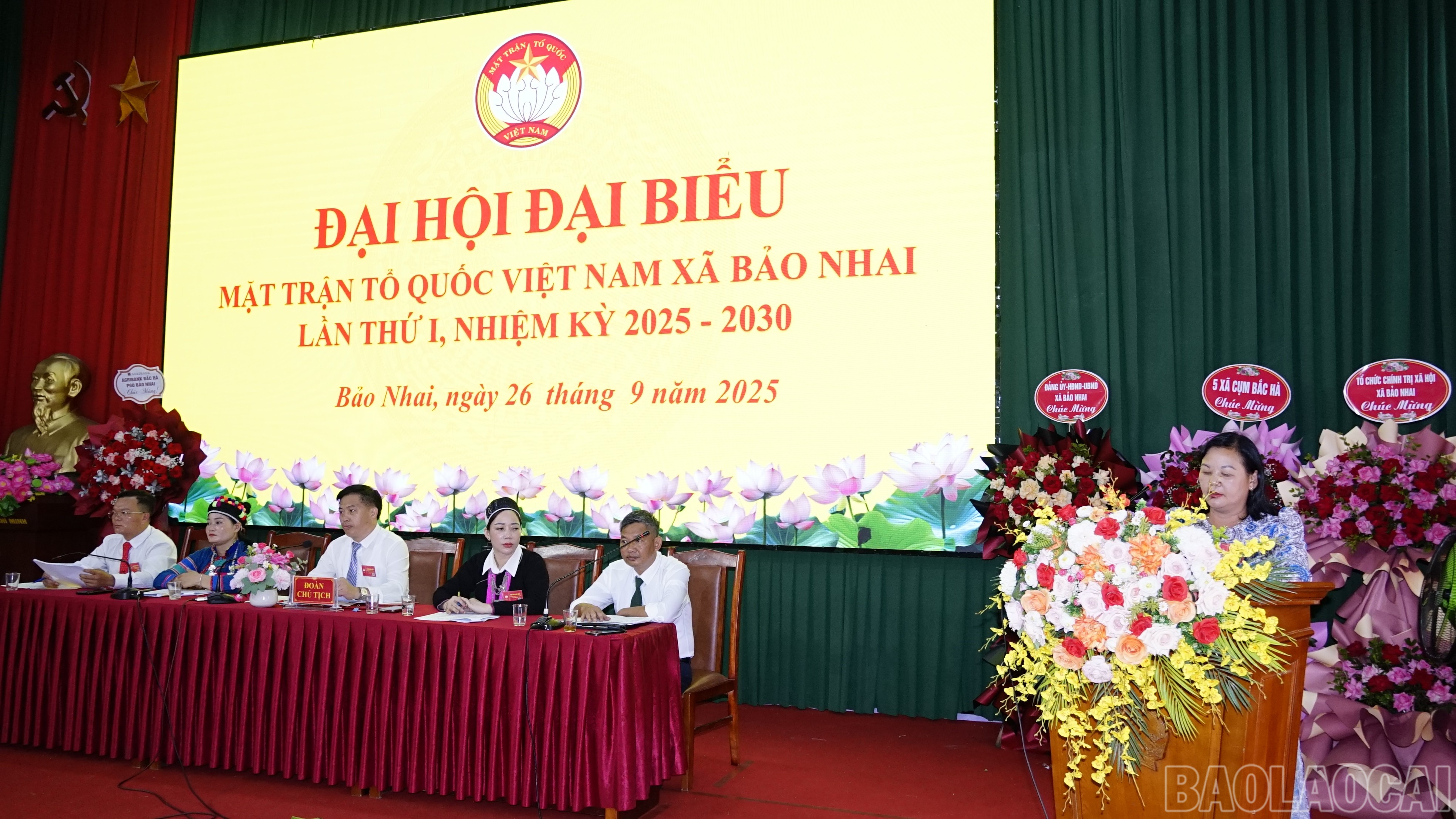 baolaocai-br_dsc3141.jpg