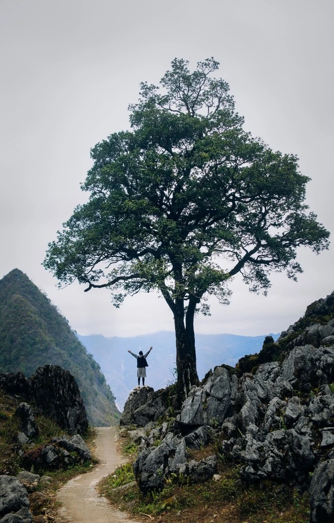 Những cung đường đèo của cao nguyên đá ở Hà Giang mang đến trải nghiệm giàu cảm xúc cho du khách.