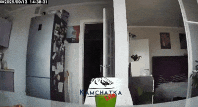 Căn hộ ở Kamchatka rung lắc dữ dội vì động đất. dongdat.gif