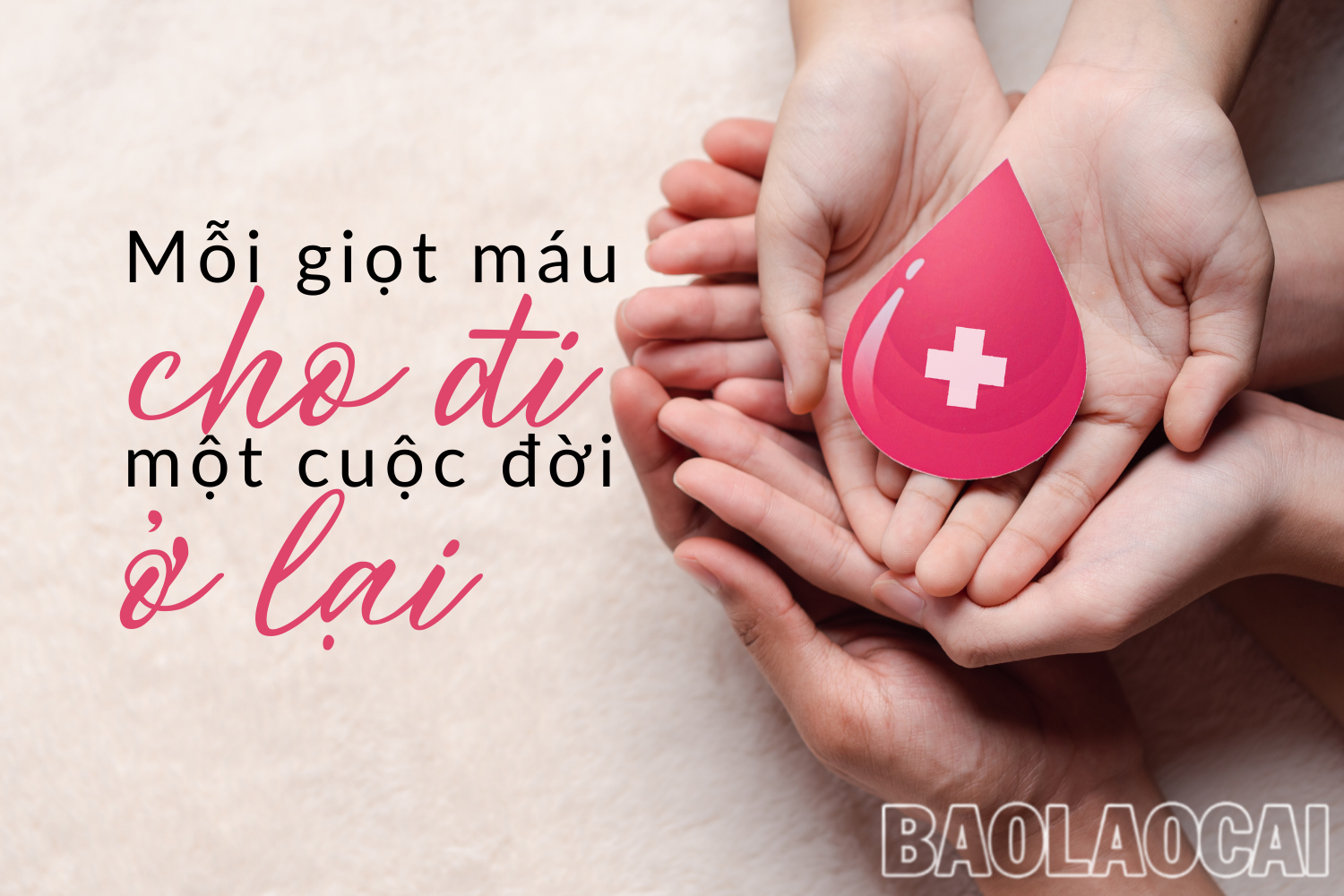 Mỗi giọt máu cho đi - Một cuộc đời ở lại