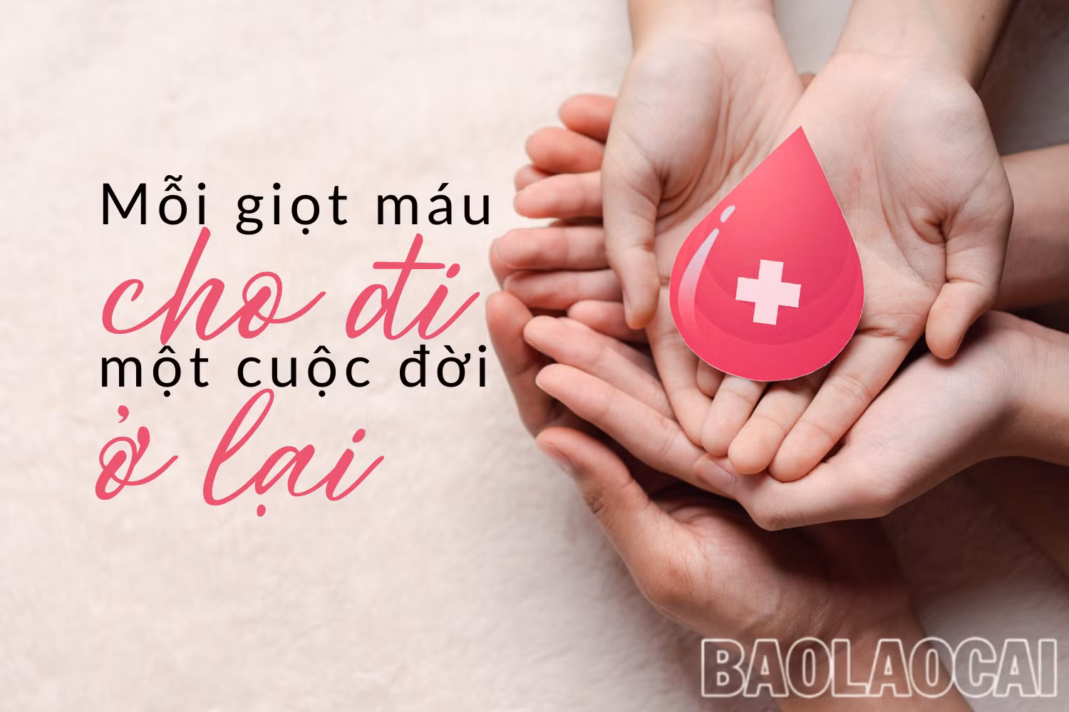 Mỗi giọt máu cho đi - Một cuộc đời ở lại