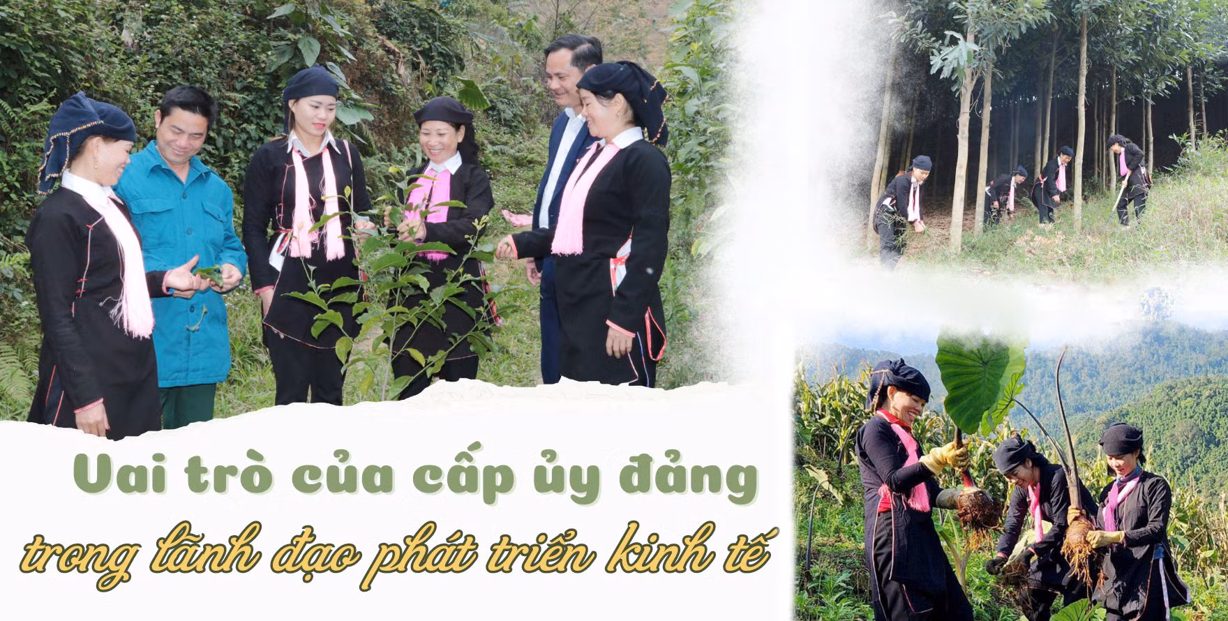 Vai trò của cấp ủy đảng trong lãnh đạo phát triển kinh tế