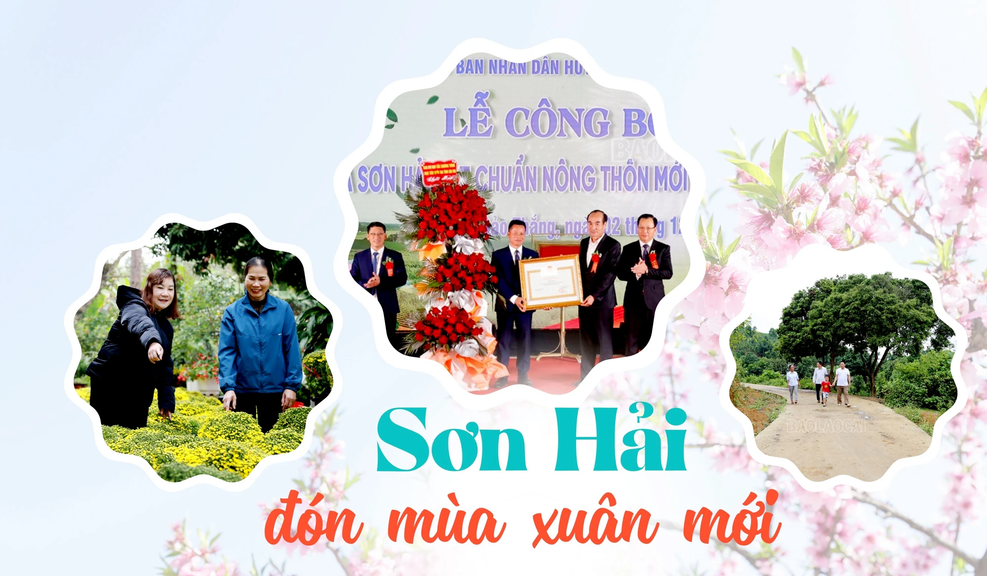 Sơn Hải đón mùa xuân mới