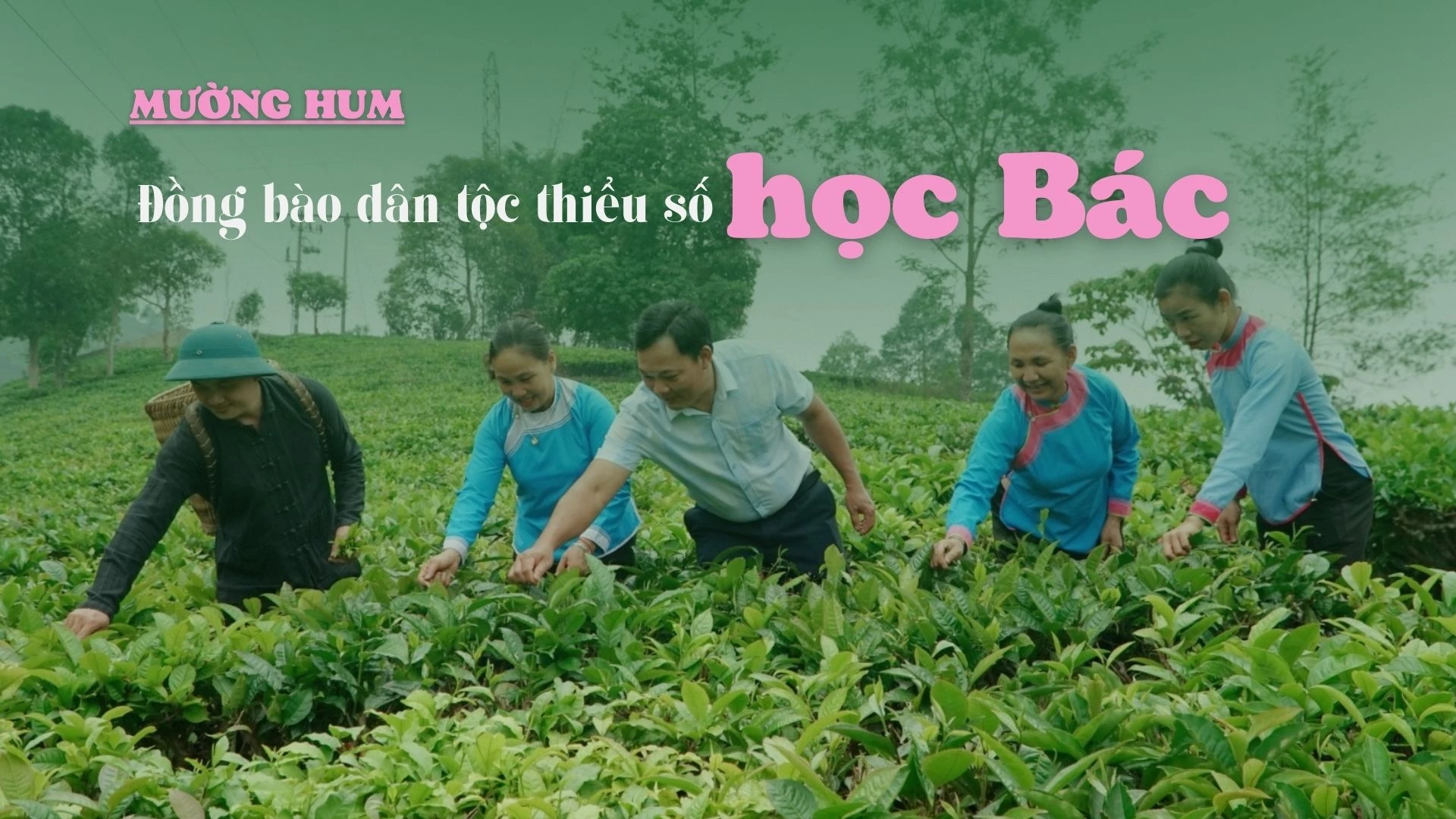 Đồng bào dân tộc thiểu số học Bác