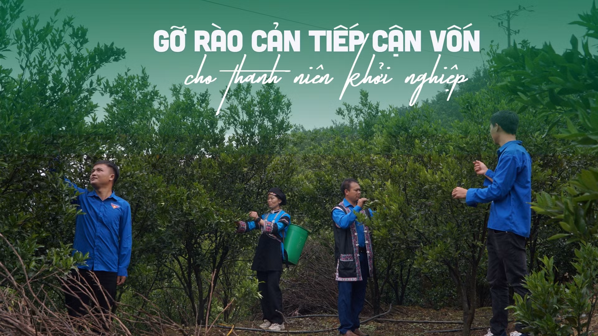 Gỡ rào cản tiếp cận vốn cho thanh niên khởi nghiệp