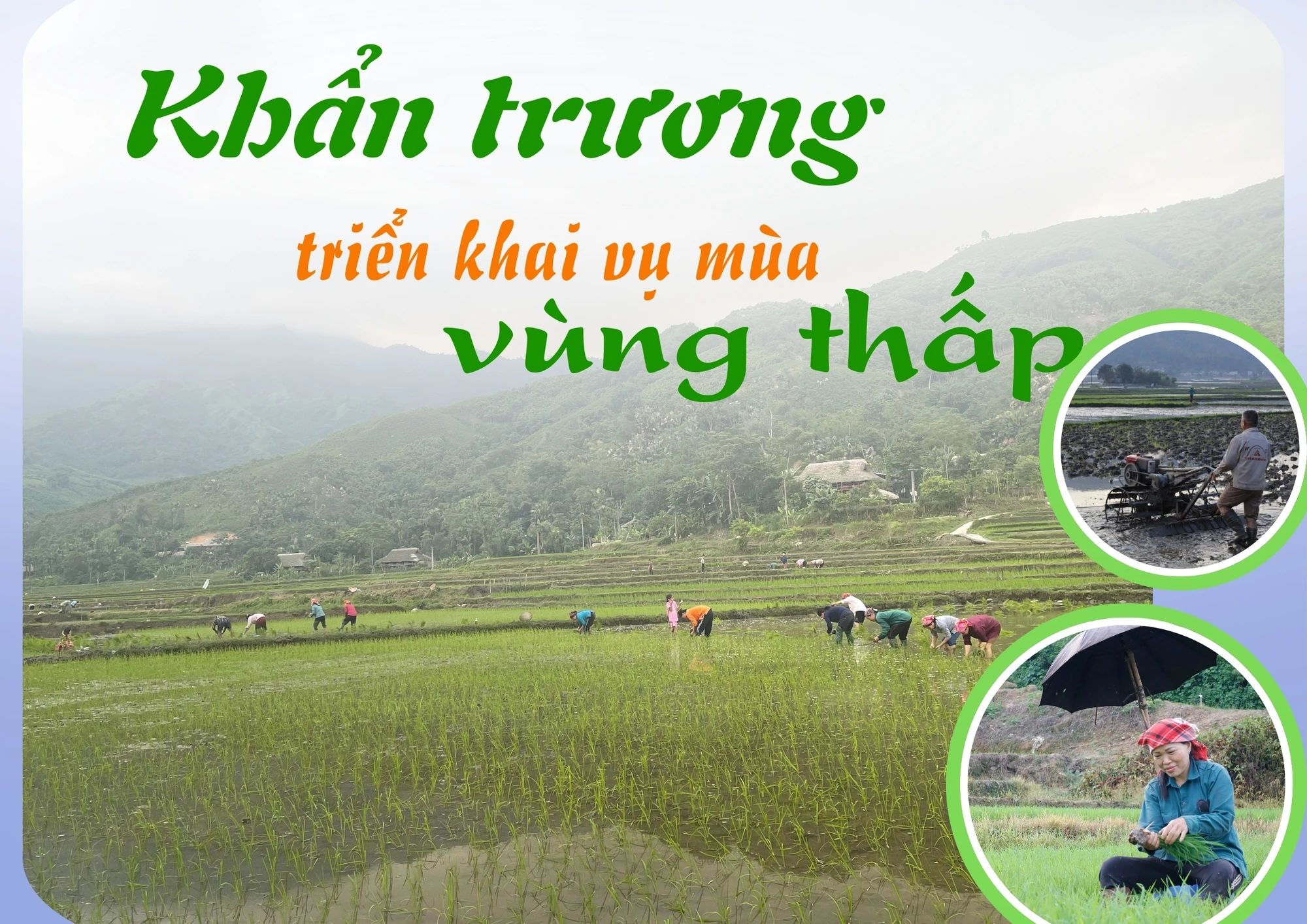 Khẩn trương triển khai sản xuất vụ mùa vùng thấp