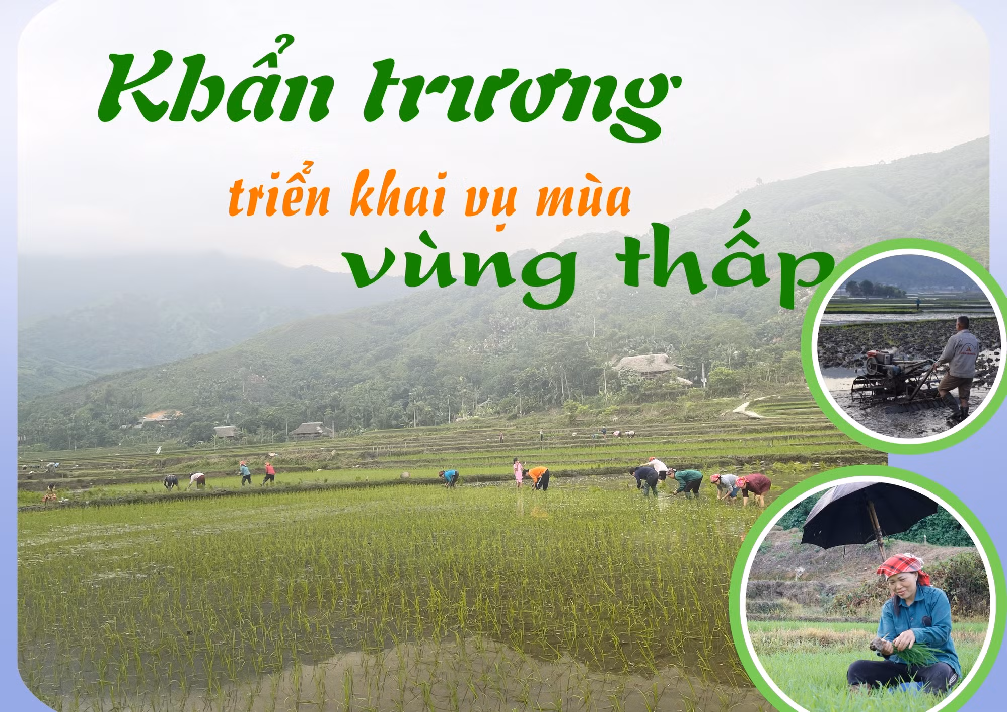 Khẩn trương triển khai sản xuất vụ mùa vùng thấp