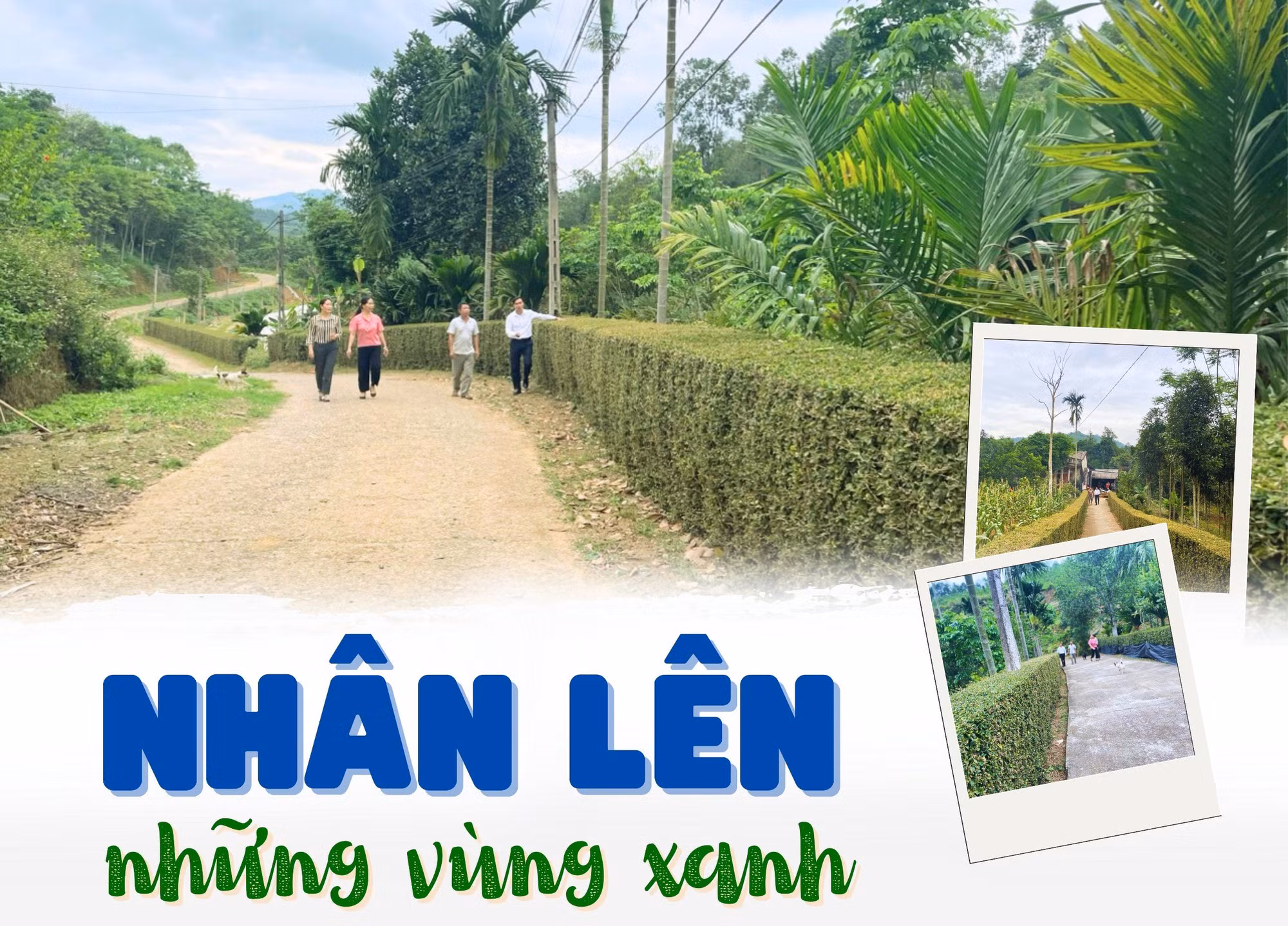 Nhân lên những vùng xanh