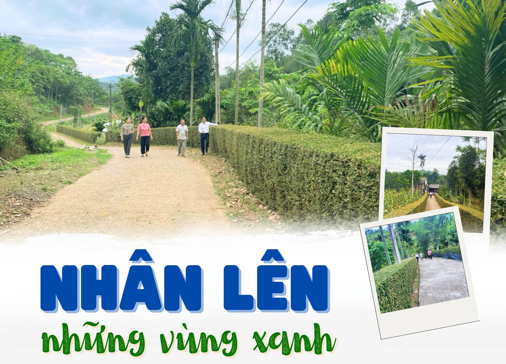 Nhân lên những vùng xanh