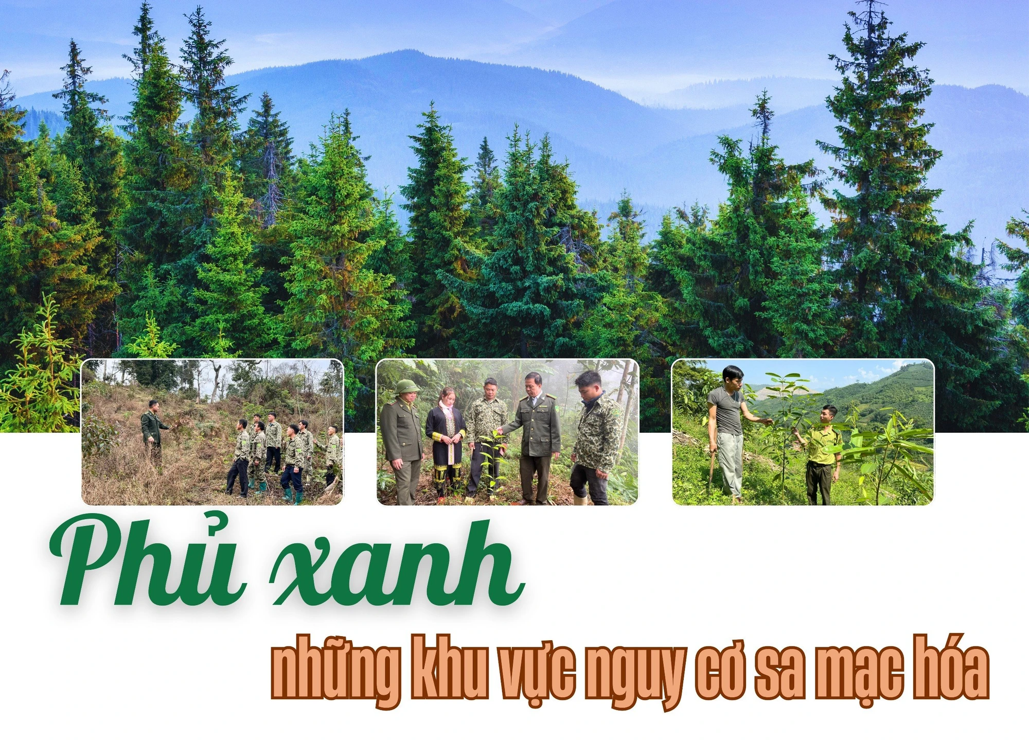 Phủ xanh những khu vực nguy cơ sa mạc hóa