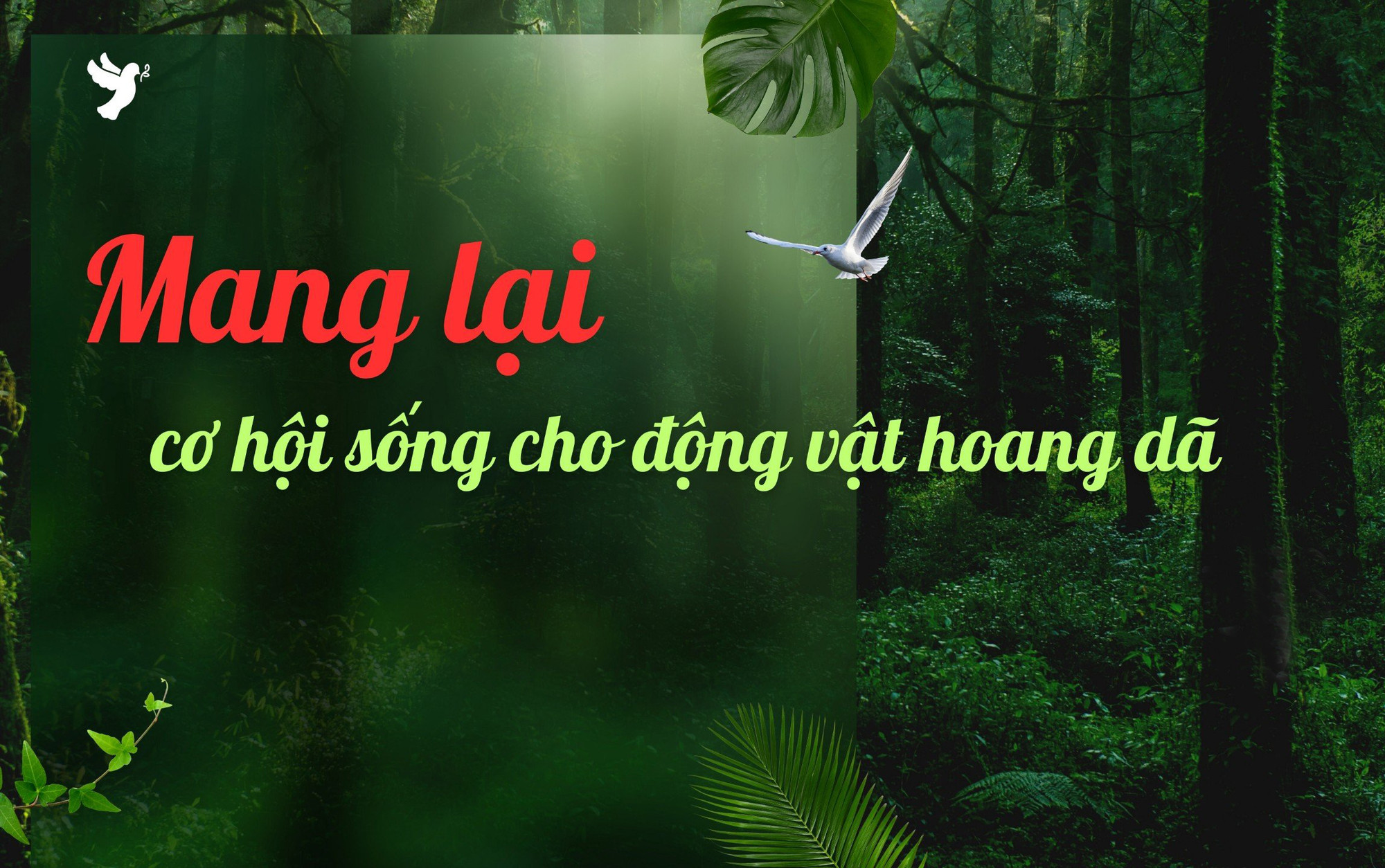 Mang lại cơ hội sống cho động vật hoang dã