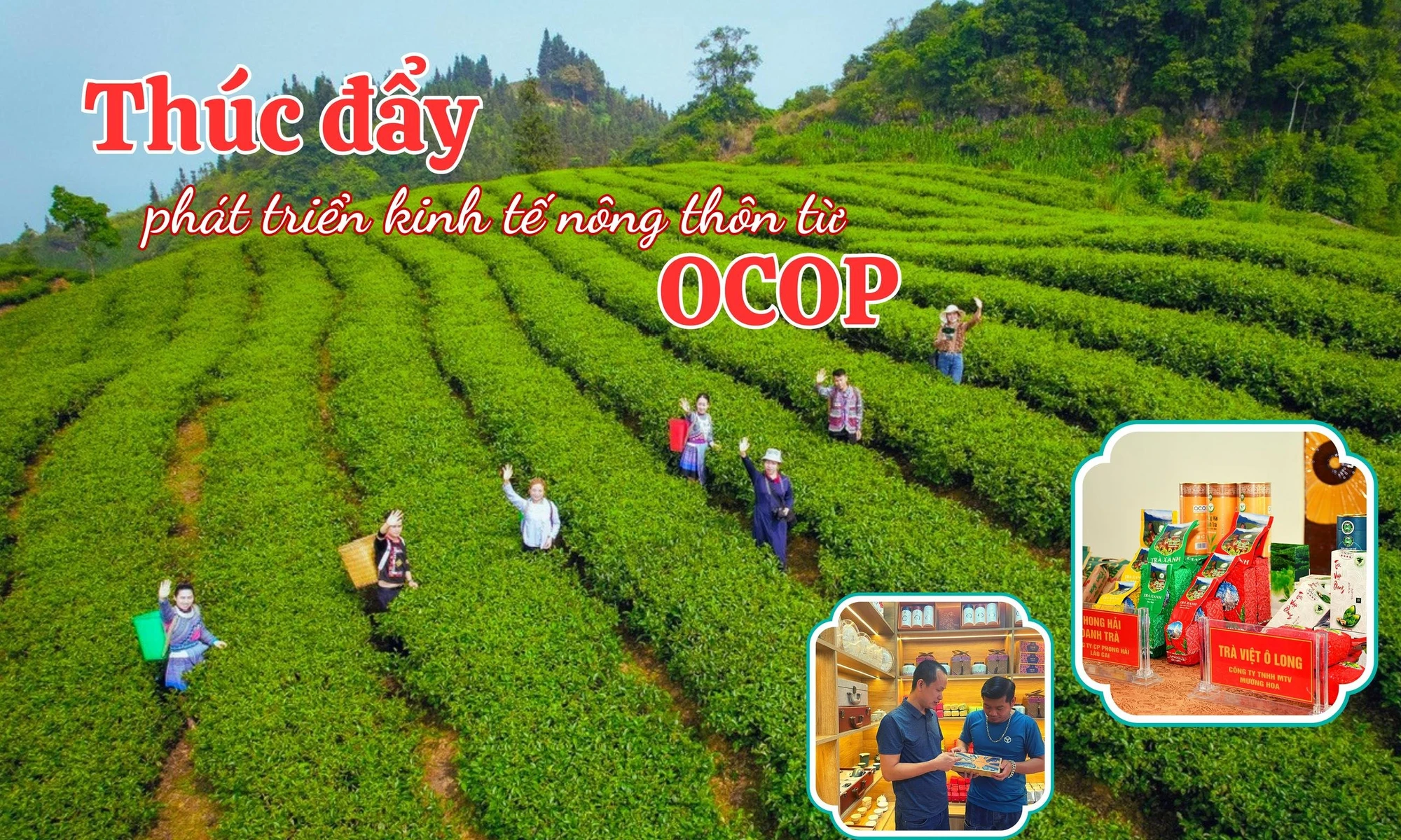 Thúc đẩy phát triển kinh tế nông thôn từ OCOP