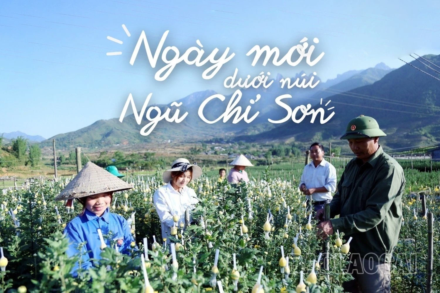 Ngày mới dưới núi Ngũ Chỉ Sơn