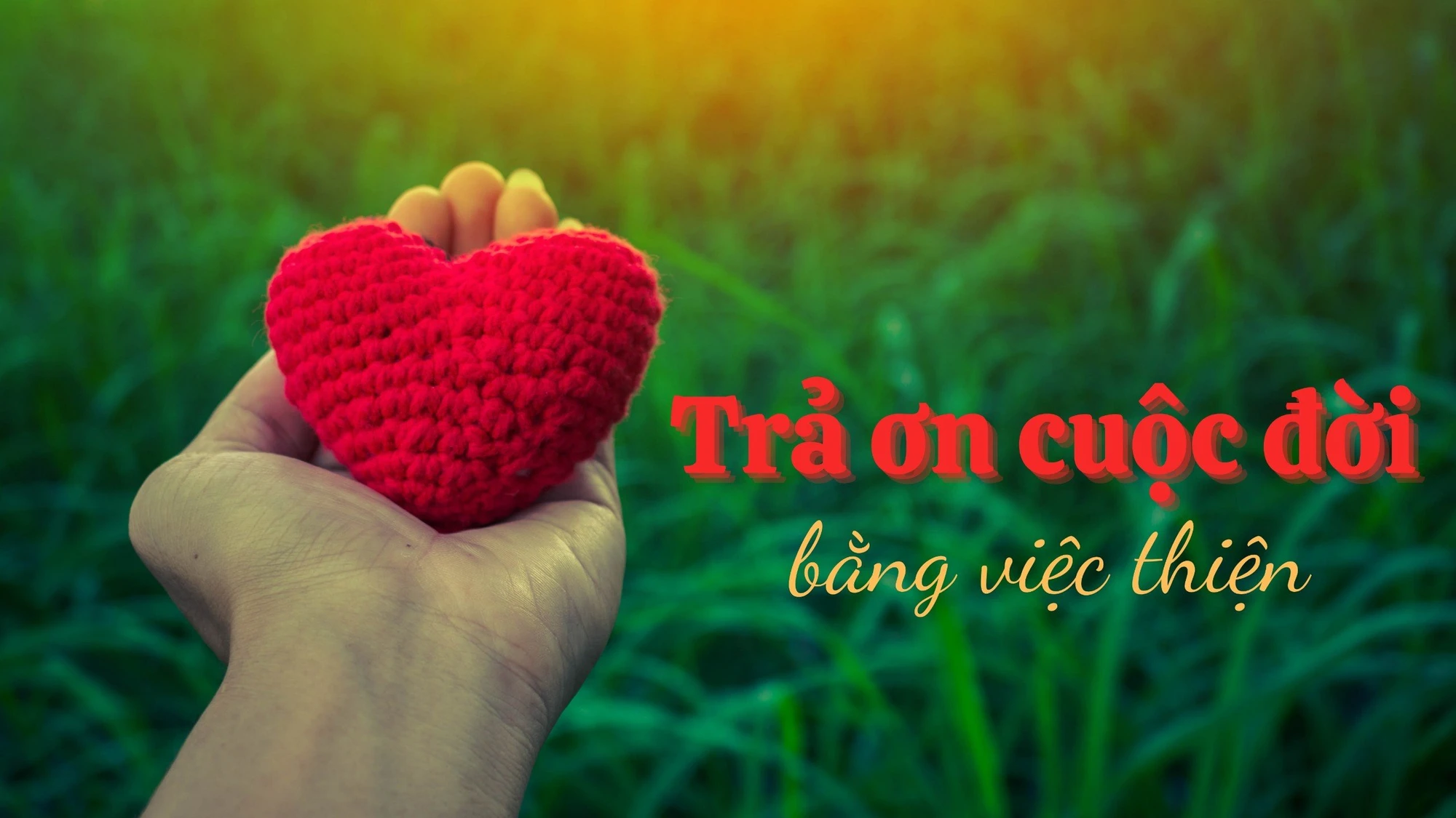 Trả ơn cuộc đời bằng việc thiện