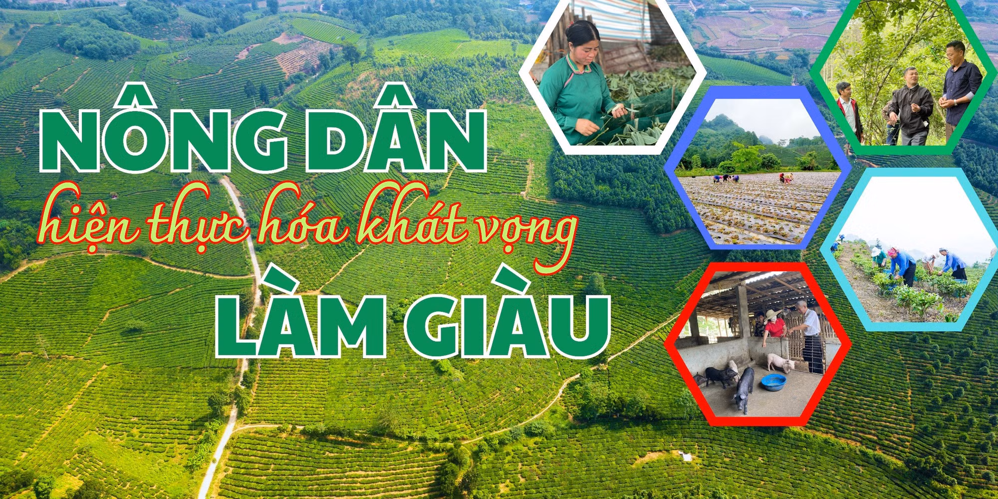 Nông dân hiện thực hóa khát vọng làm giàu