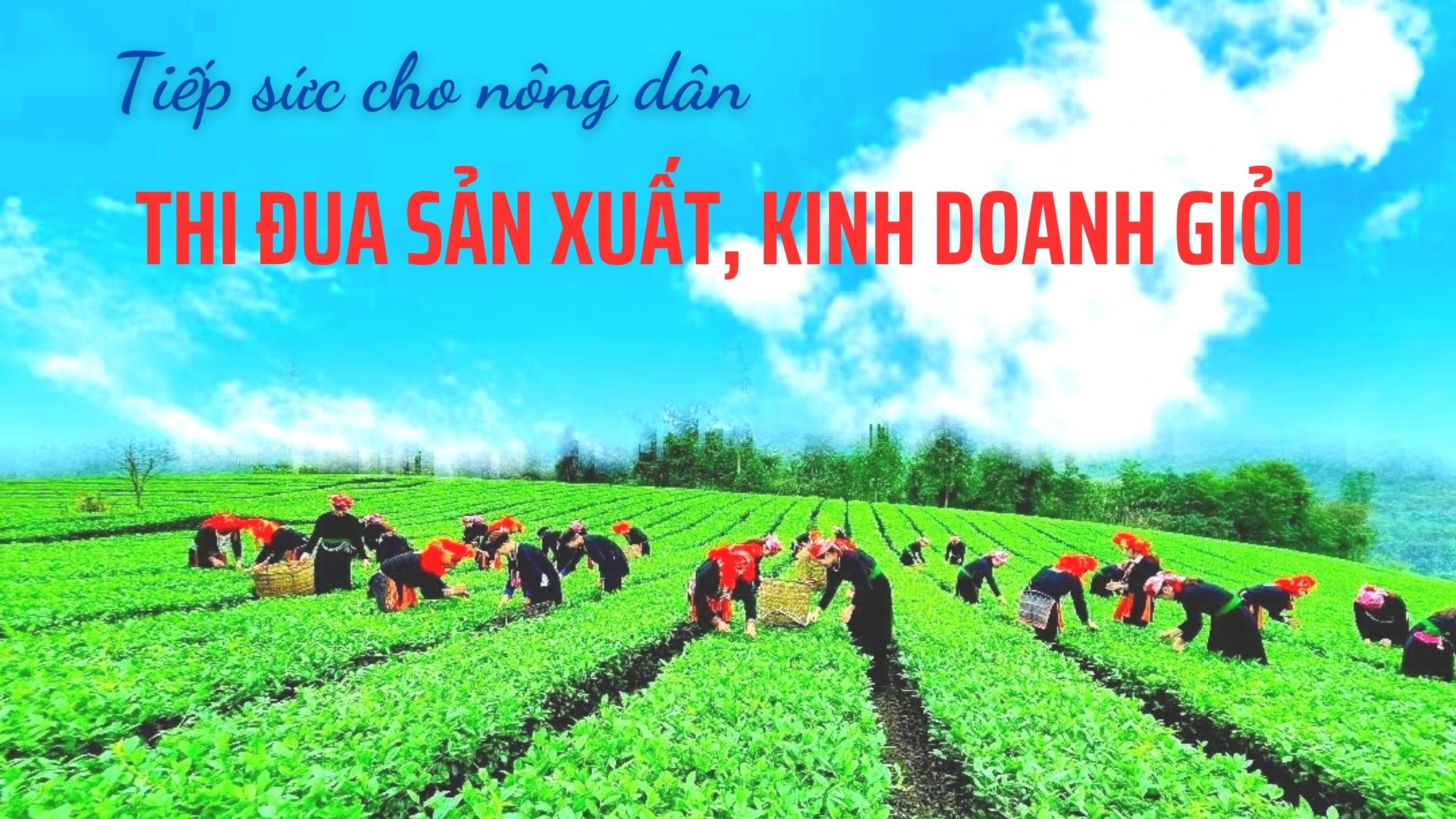 Tiếp sức cho nông dân thi đua sản xuất, kinh doanh giỏi