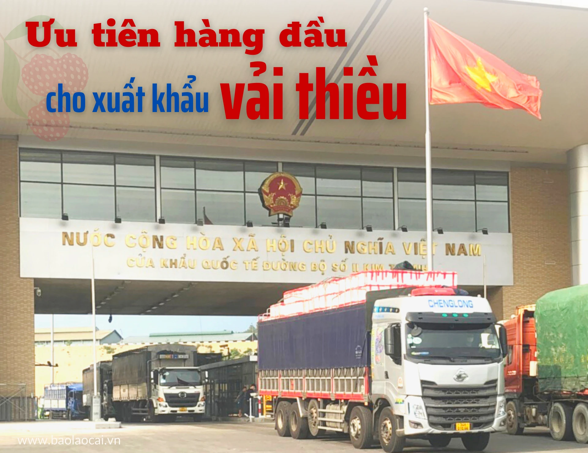 Ưu tiên hàng đầu cho xuất khẩu vải thiều