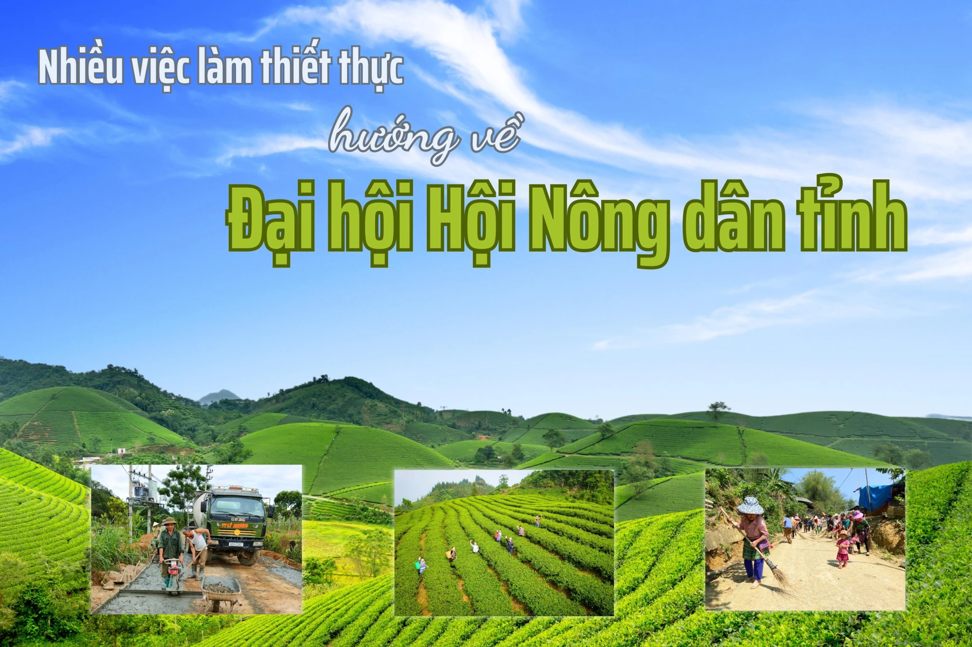 Nhiều việc làm thiết thực hướng về Đại hội Hội Nông dân tỉnh