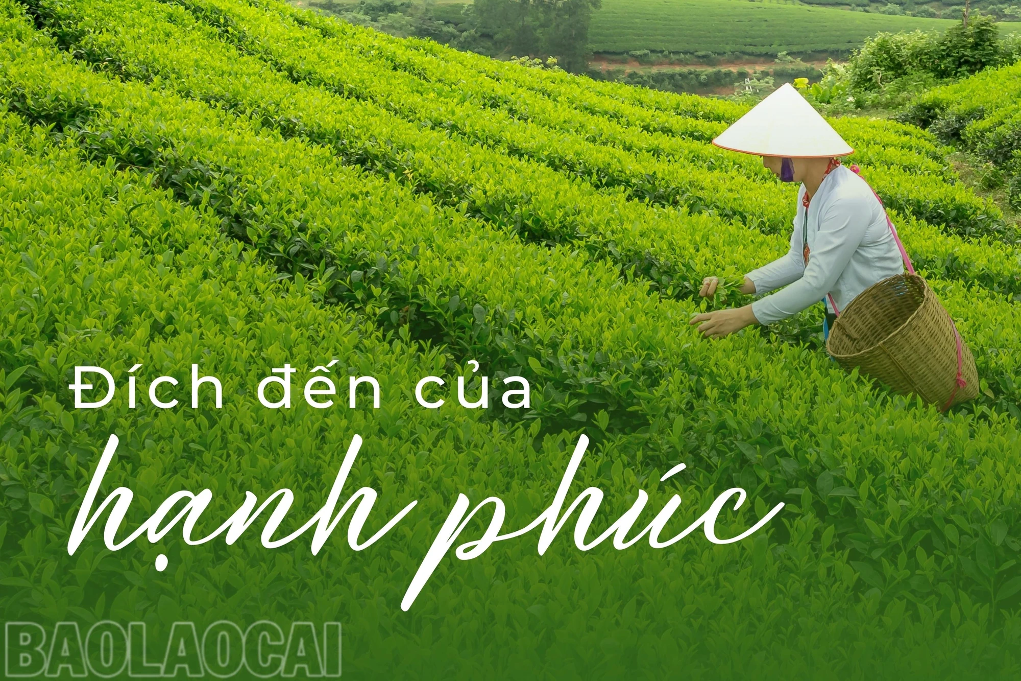 Đích đến của hạnh phúc