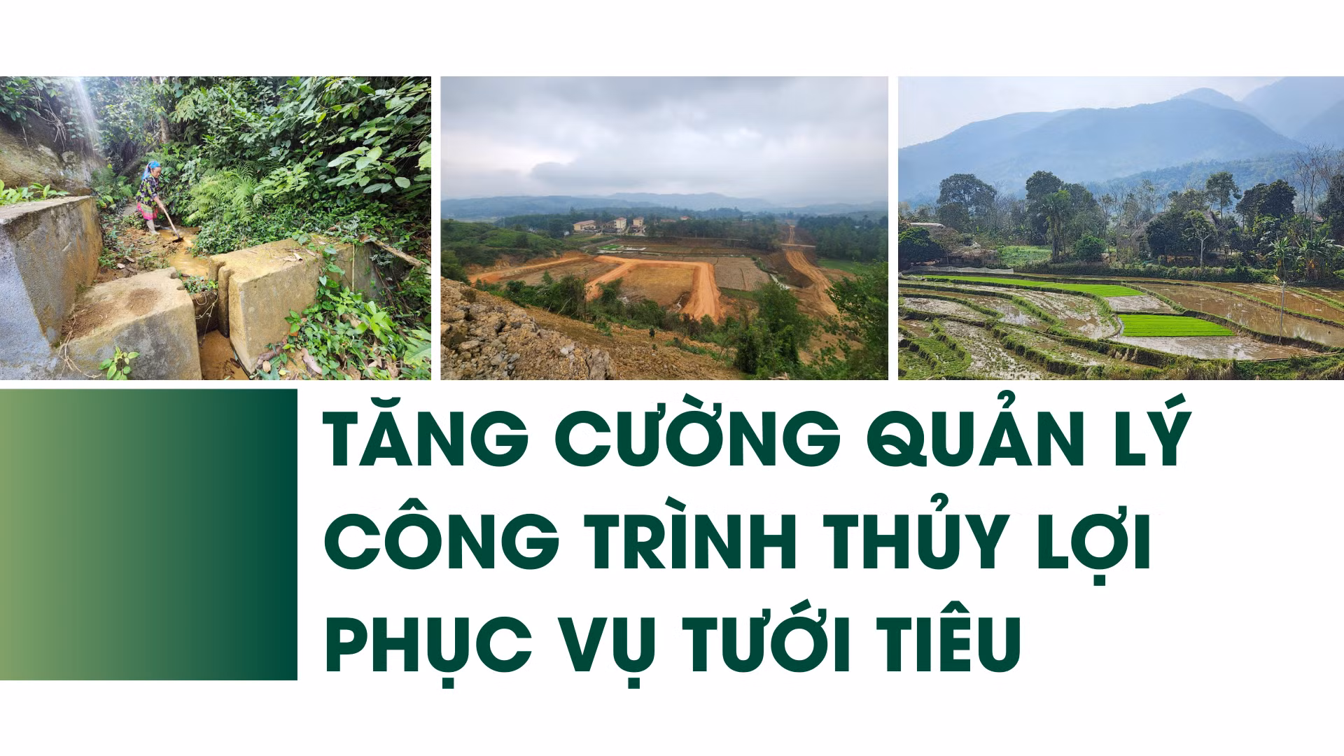 Tăng cường quản lý công trình thủy lợi phục vụ tưới tiêu