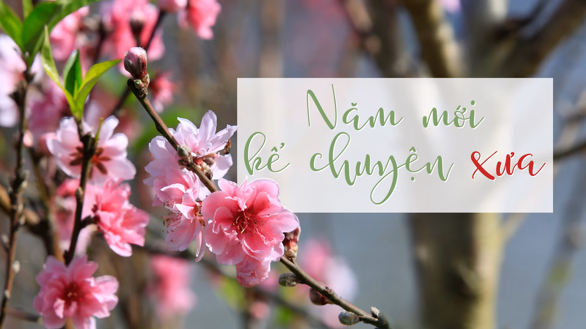 Năm mới kể chuyện xưa