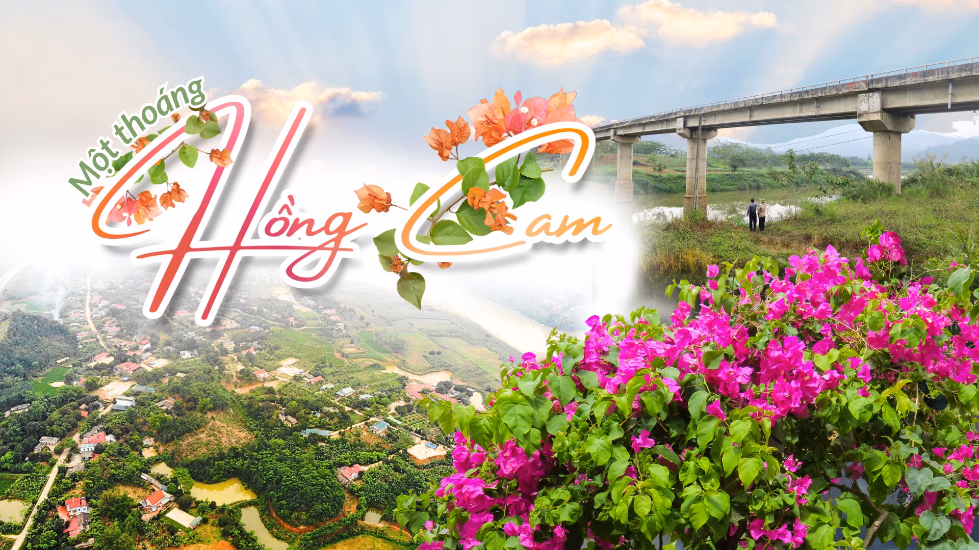 Một thoáng Hồng Cam