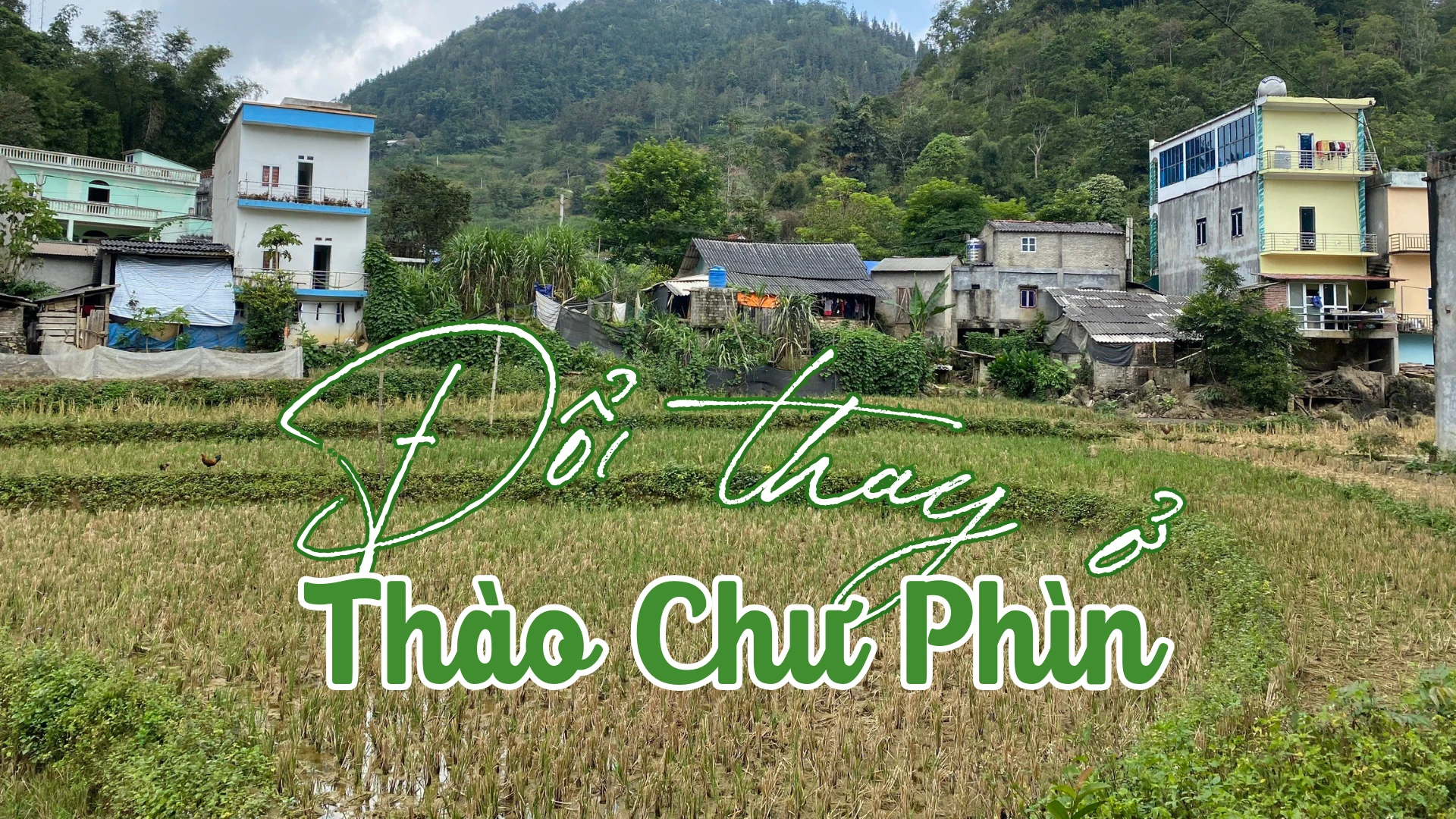 Đổi thay ở Thào Chư Phìn