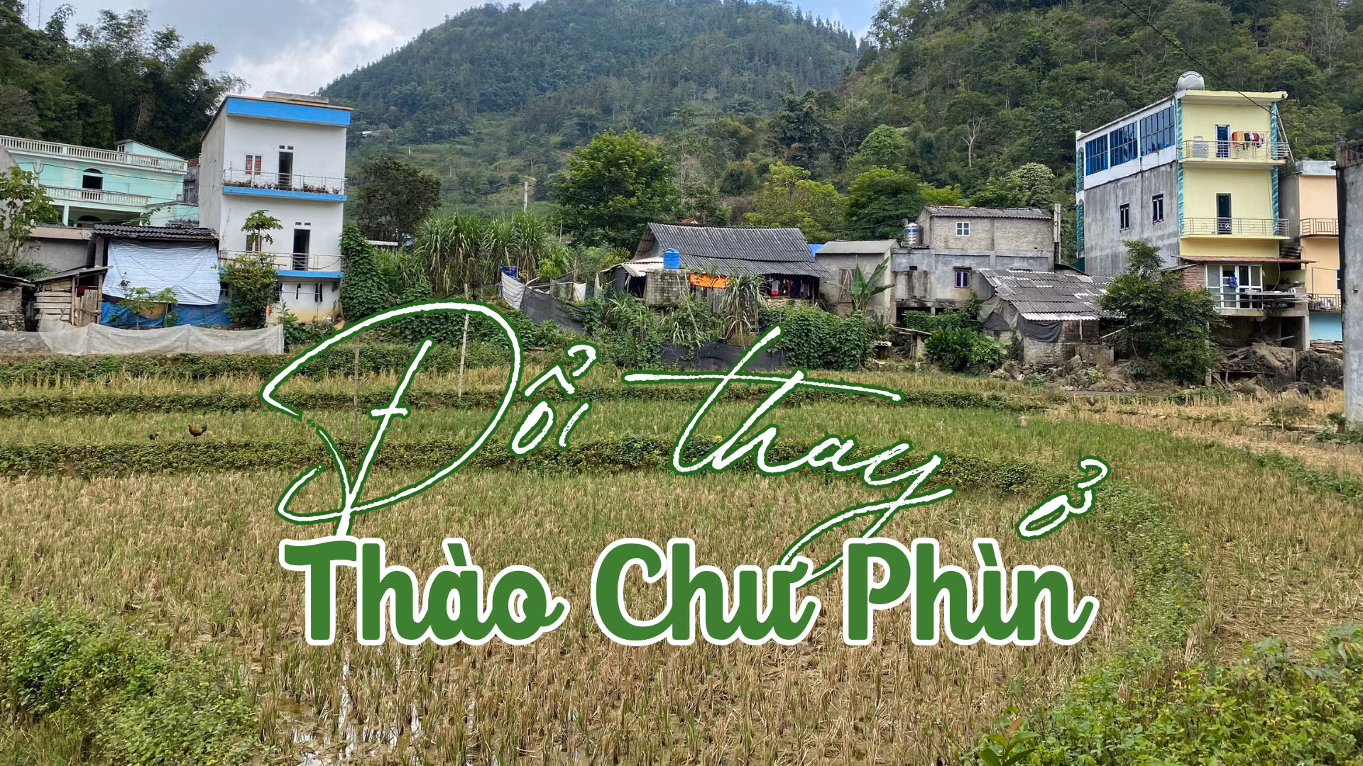 Đổi thay ở Thào Chư Phìn