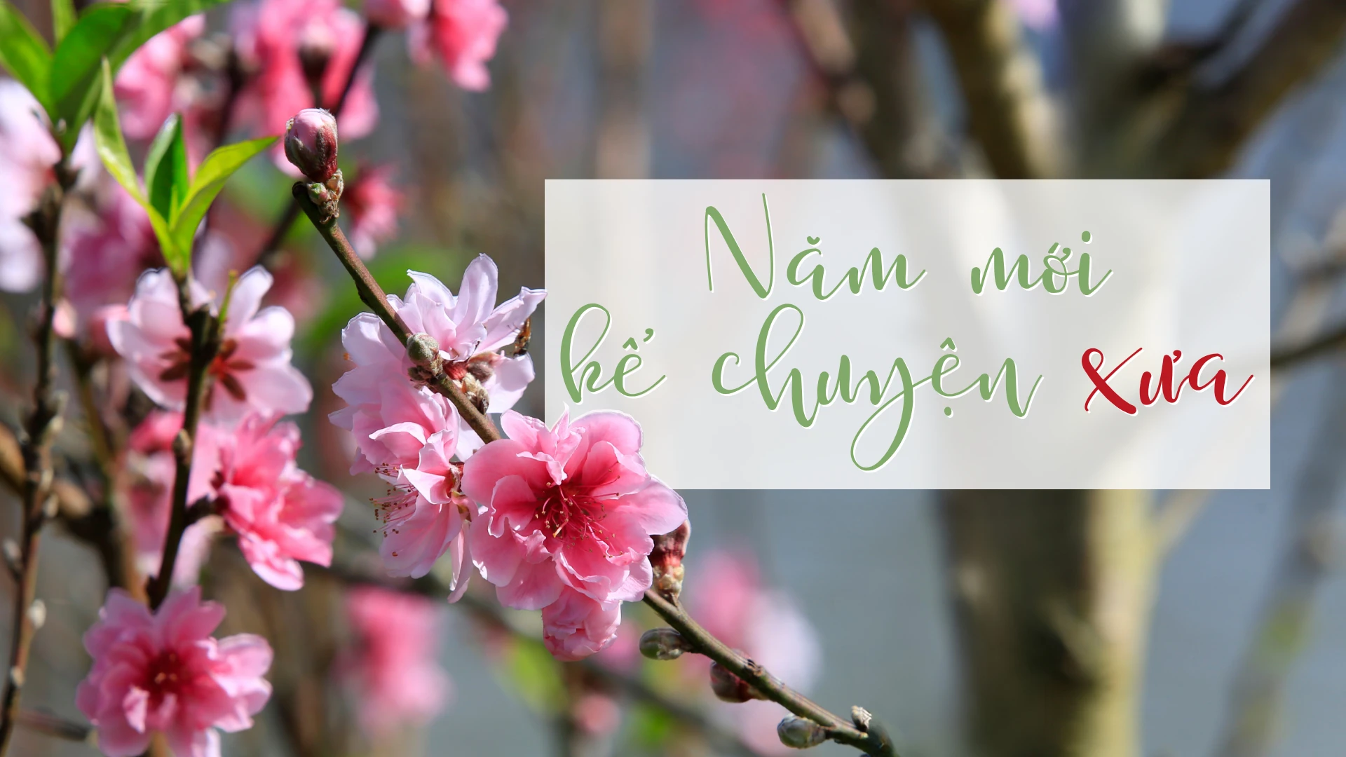 Năm mới kể chuyện xưa