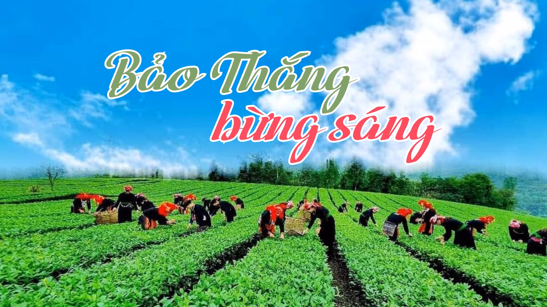 Bảo Thắng bừng sáng