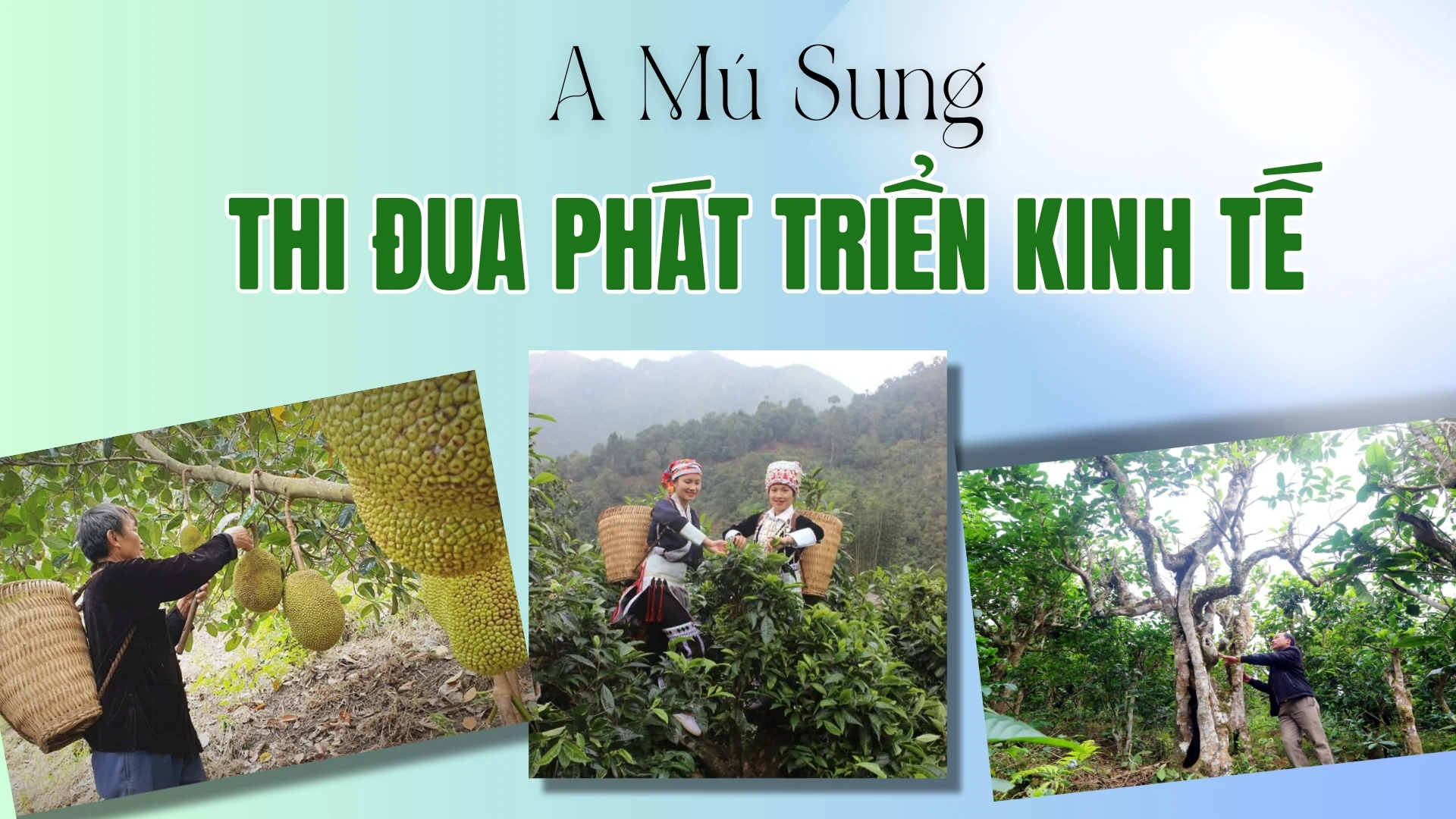 A Mú Sung thi đua phát triển kinh tế