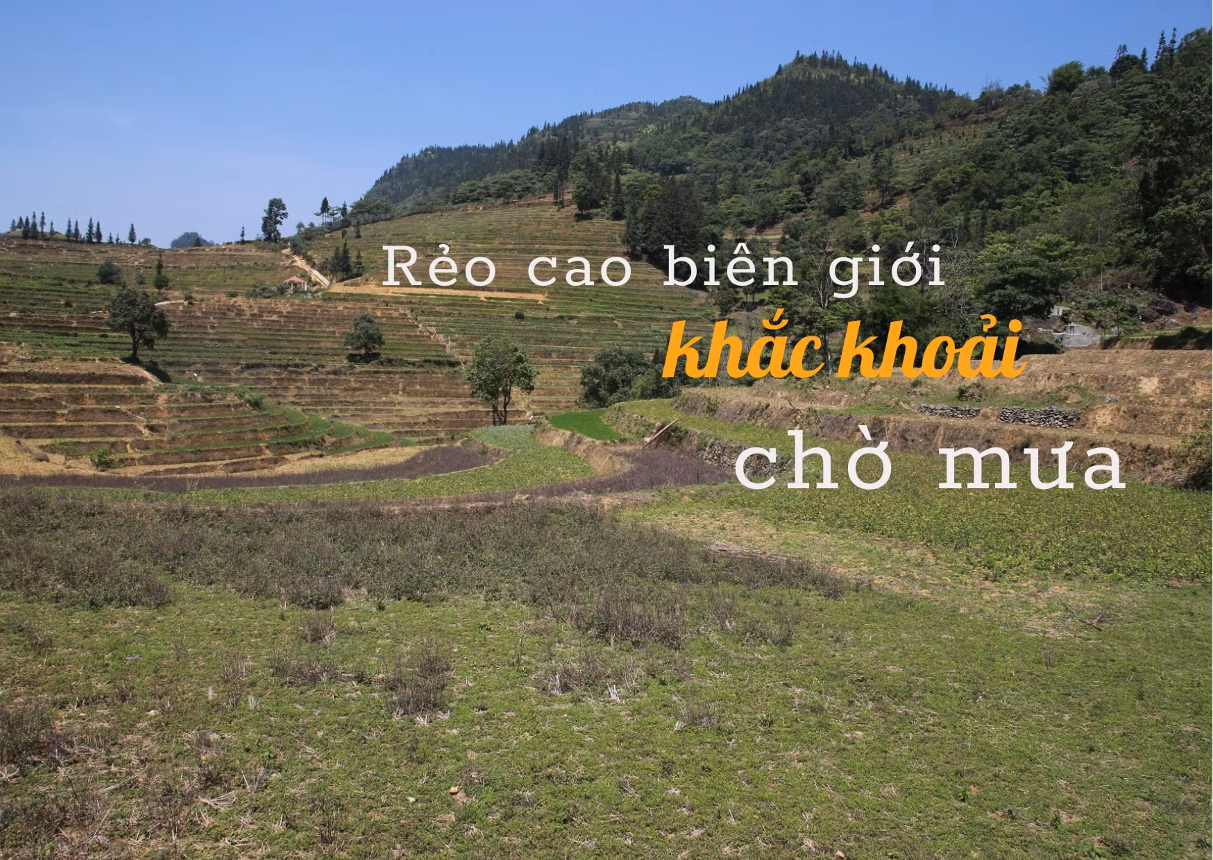 Rẻo cao biên giới khắc khoải chờ mưa