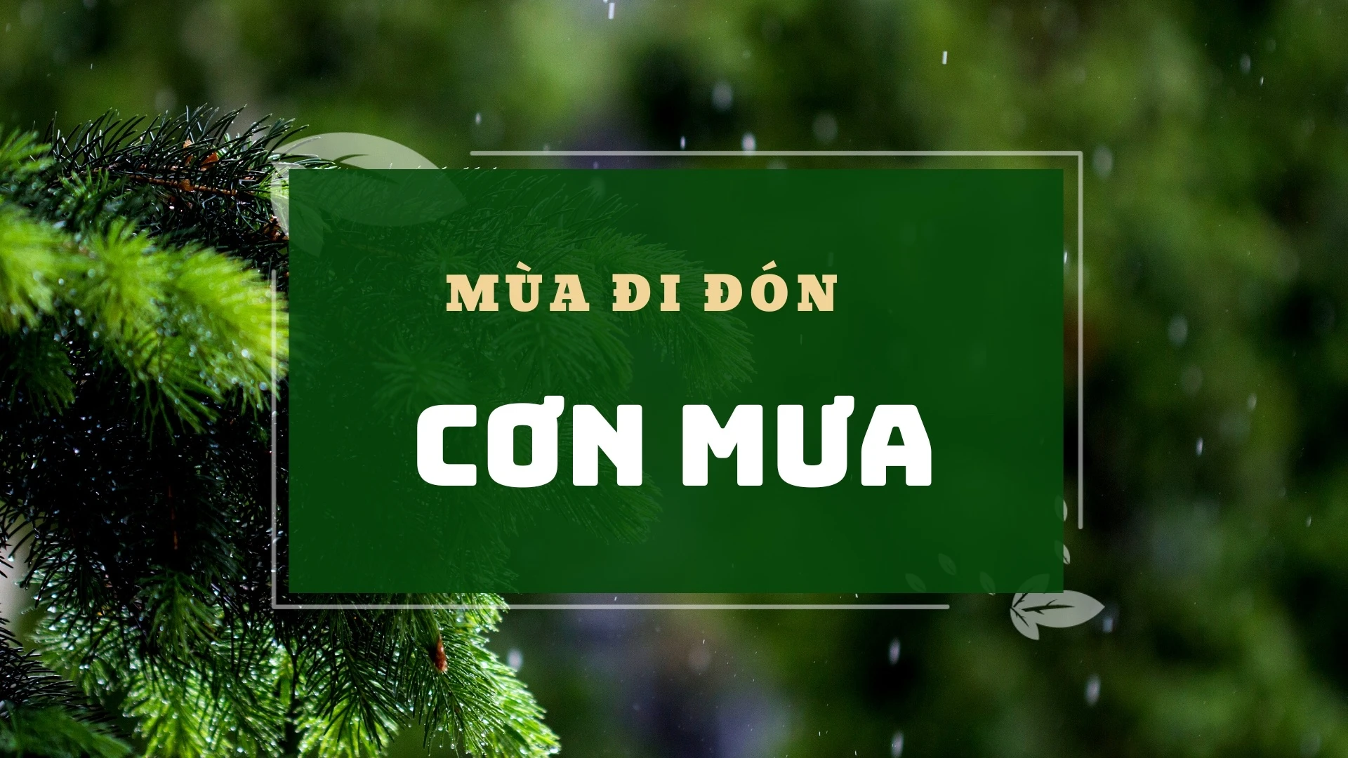 Mùa đi đón cơn mưa