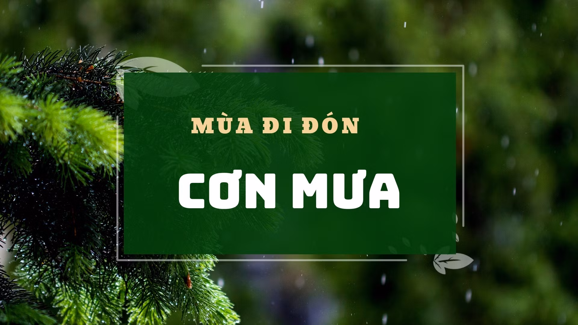 Mùa đi đón cơn mưa