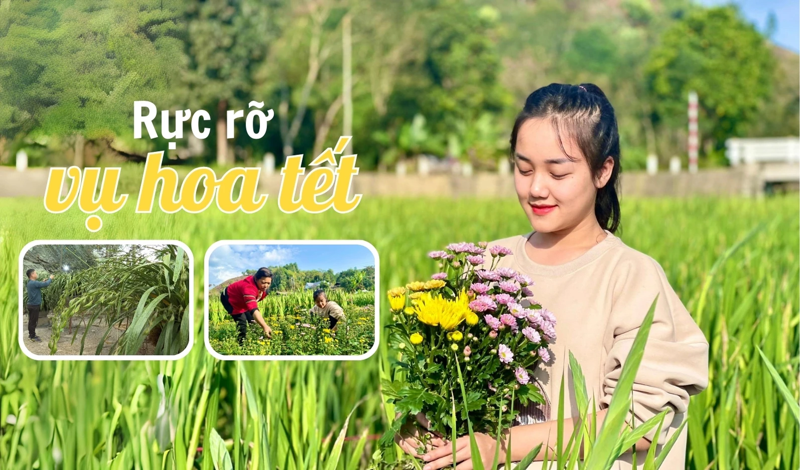 Rực rỡ vụ hoa tết