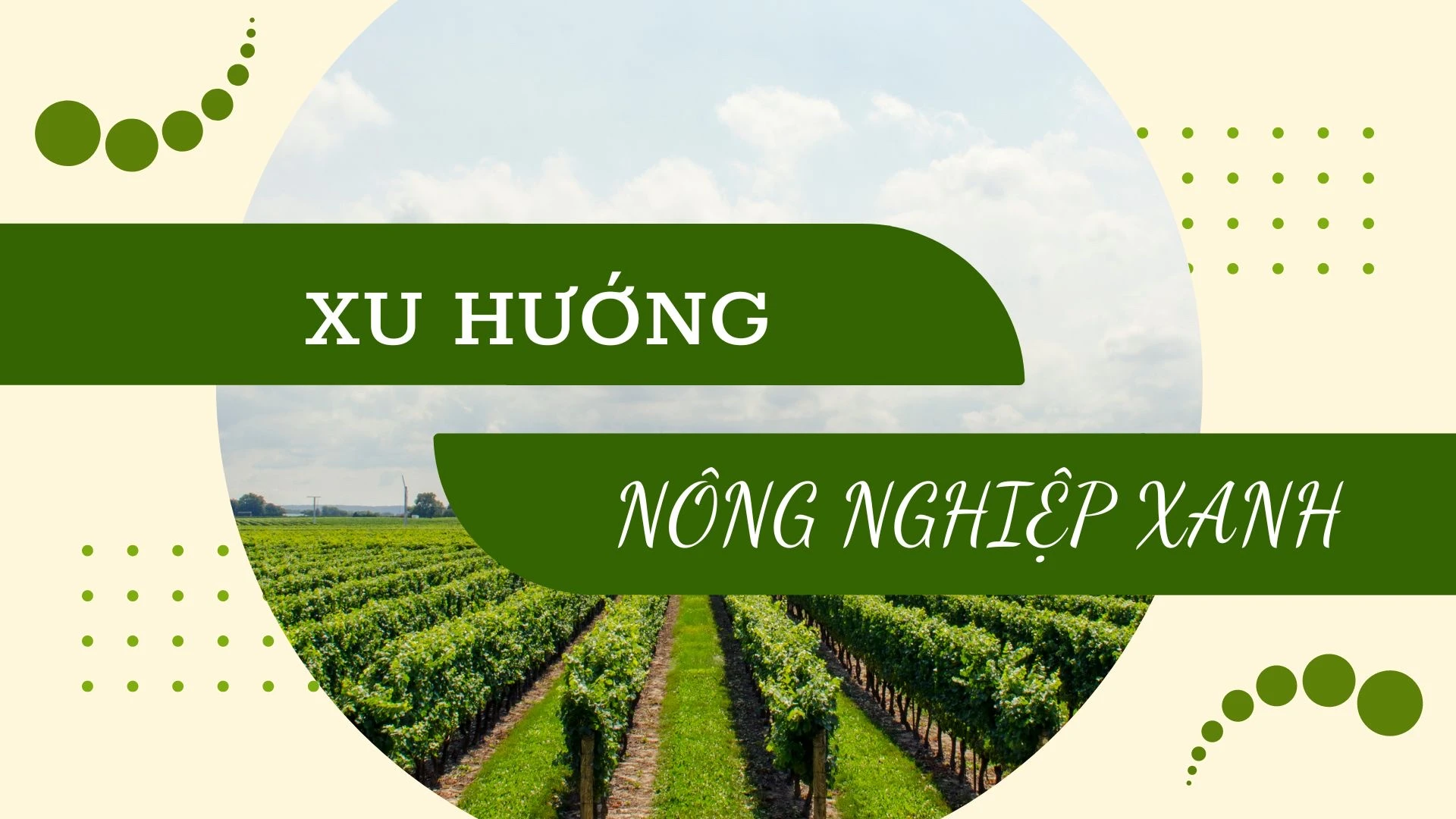 Xu hướng nông nghiệp xanh