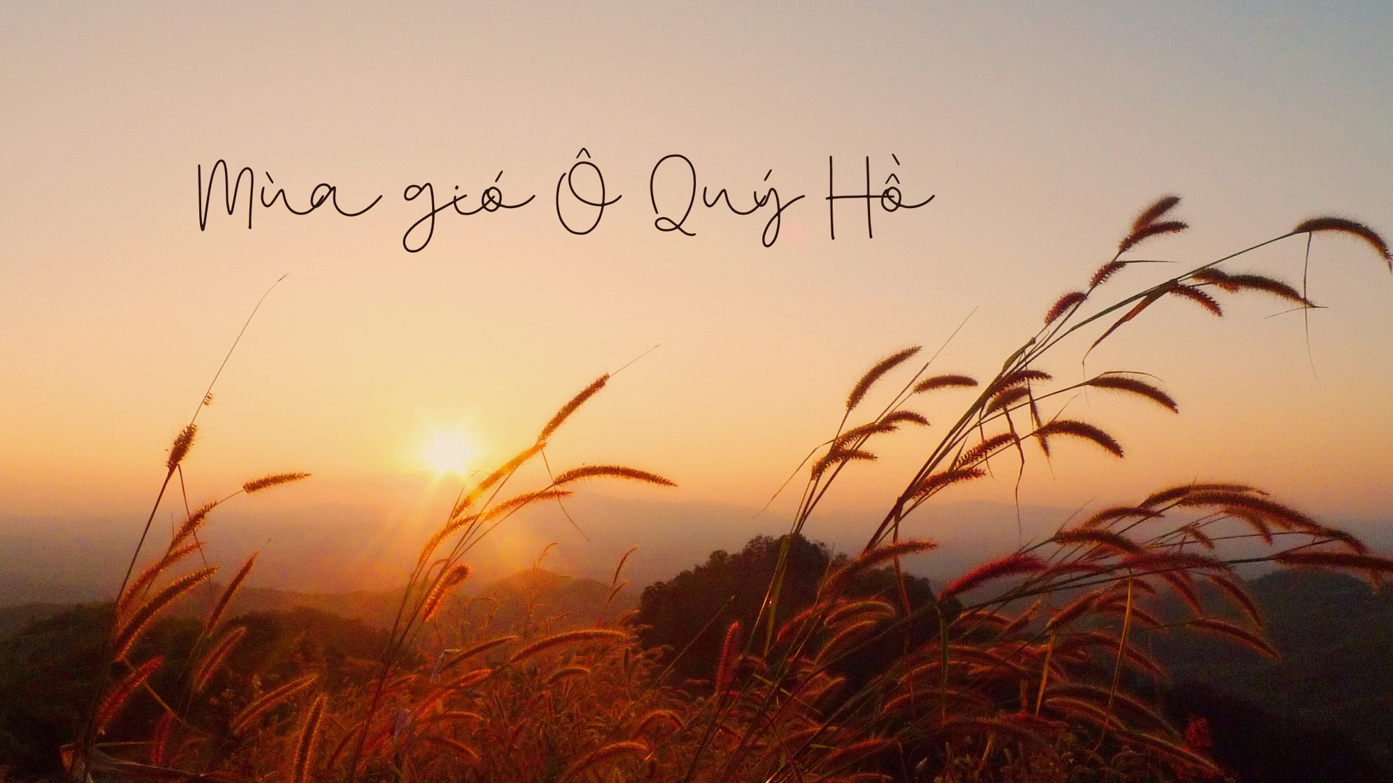 Mùa gió Ô Quý Hồ