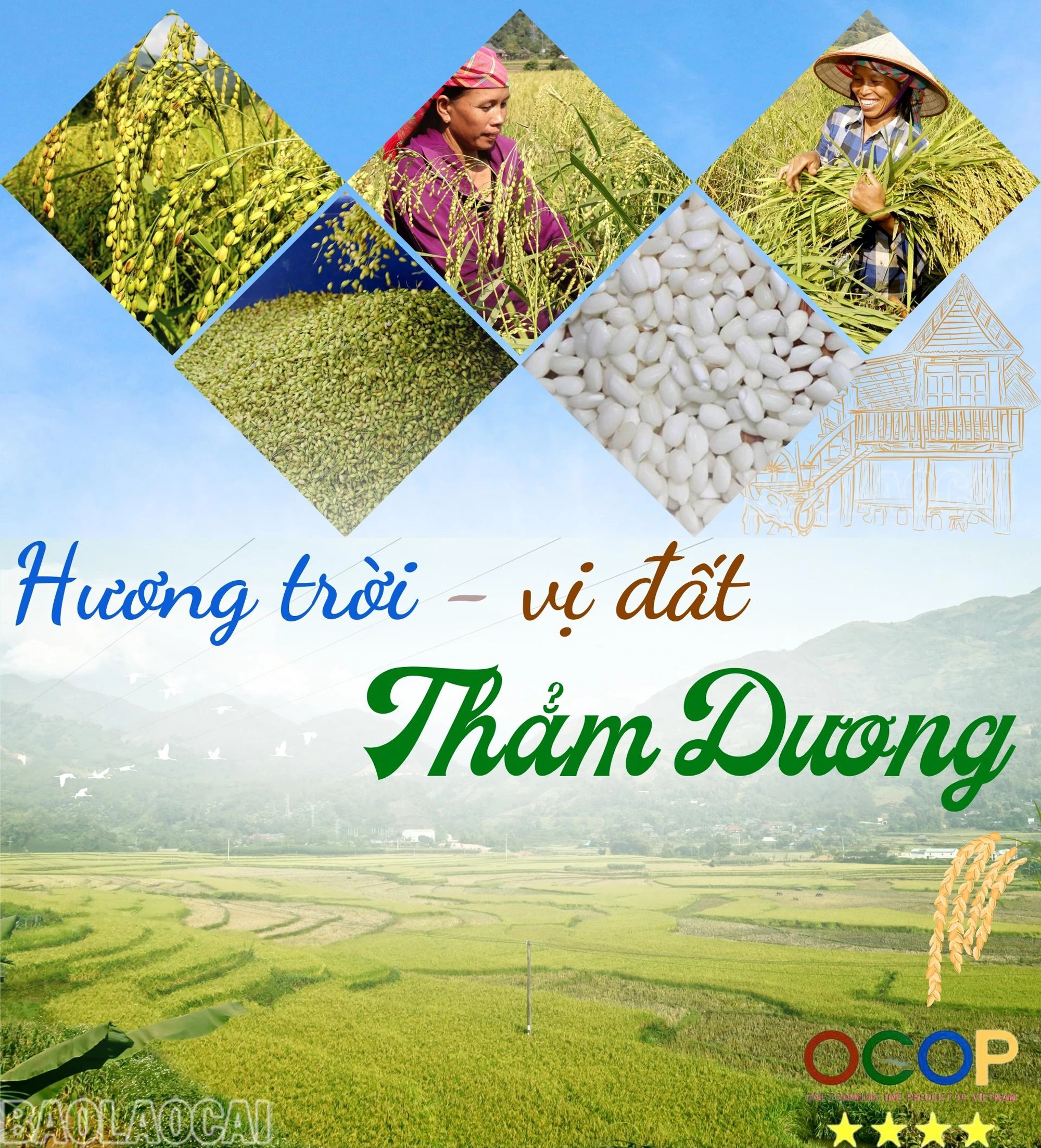 Hương trời, vị đất Thẳm Dương