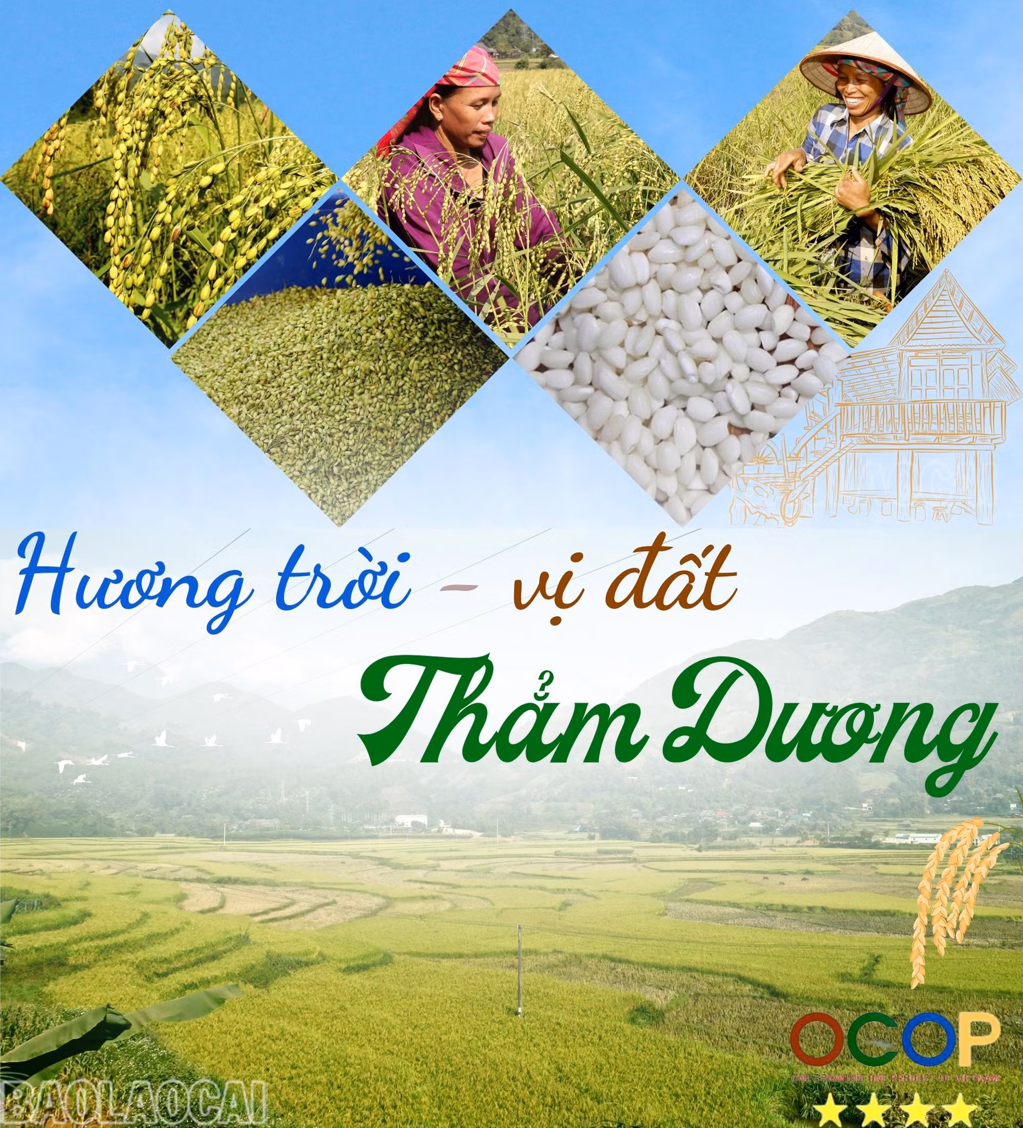 Hương trời, vị đất Thẳm Dương