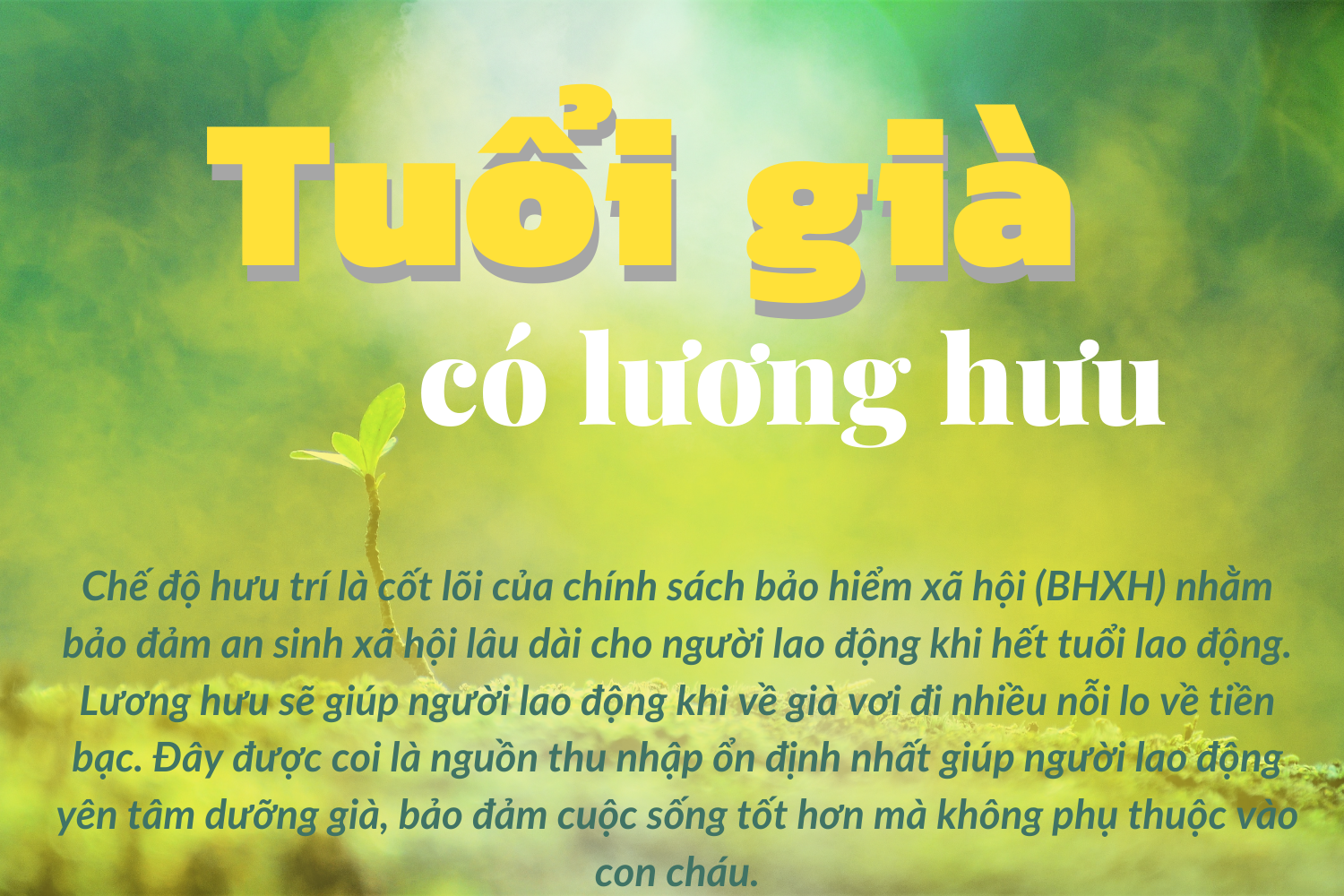 Tuổi già có lương hưu