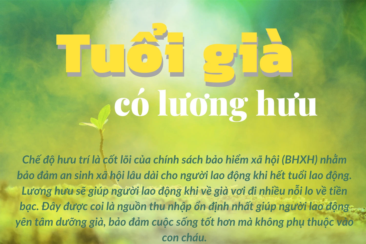 Tuổi già có lương hưu