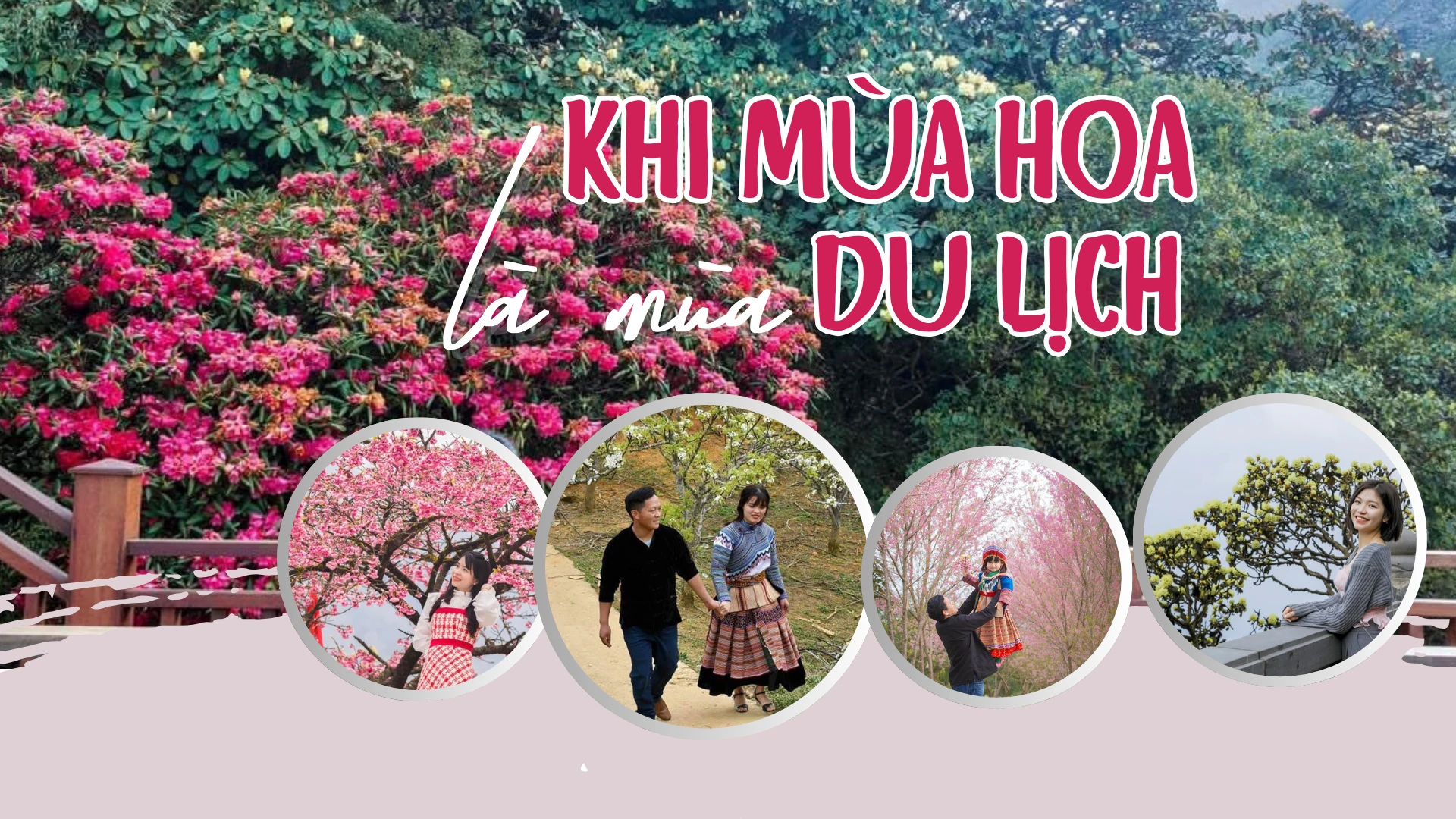 Khi mùa hoa là mùa du lịch