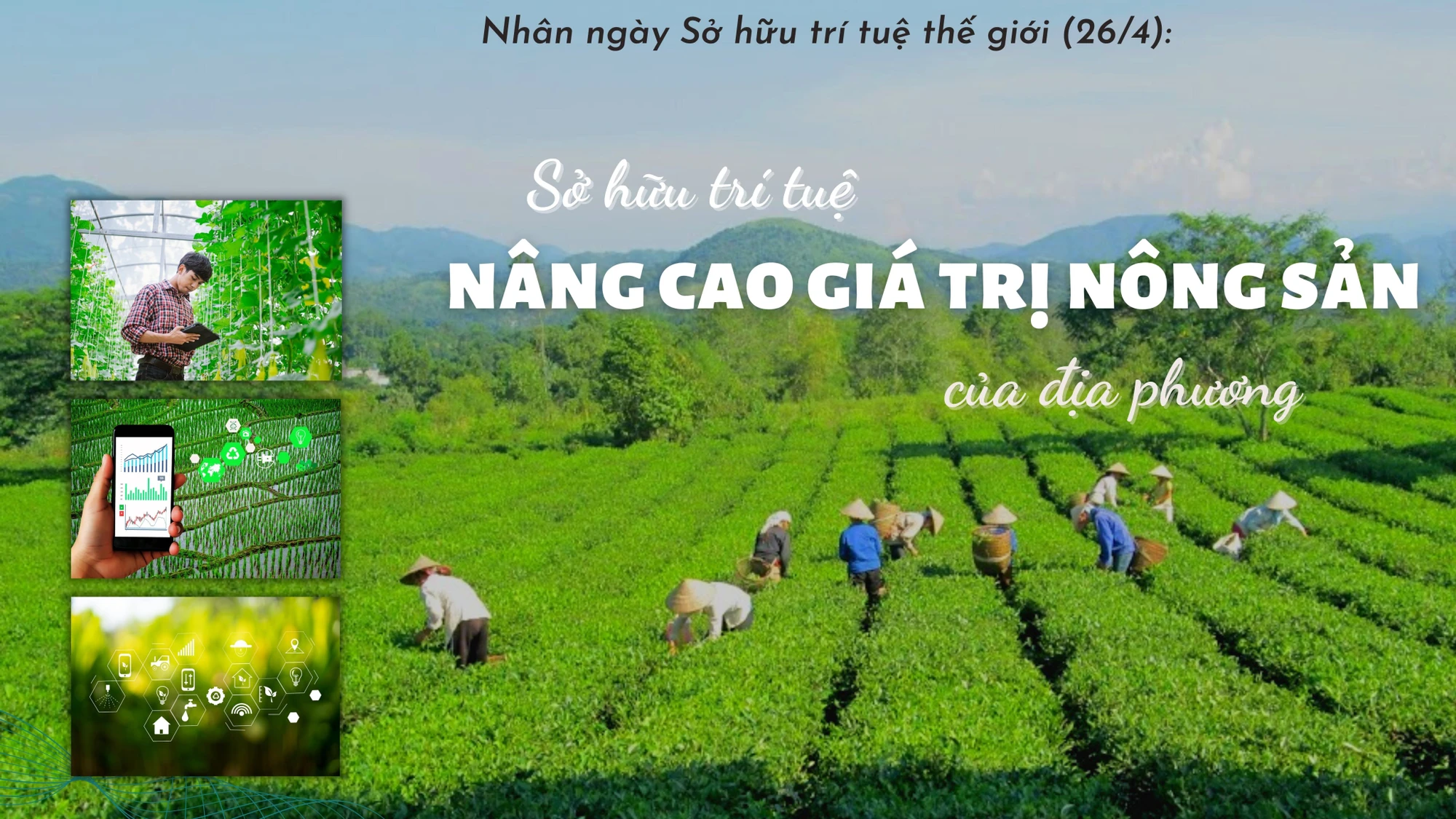 Sở hữu trí tuệ nâng cao giá trị nông sản của địa phương