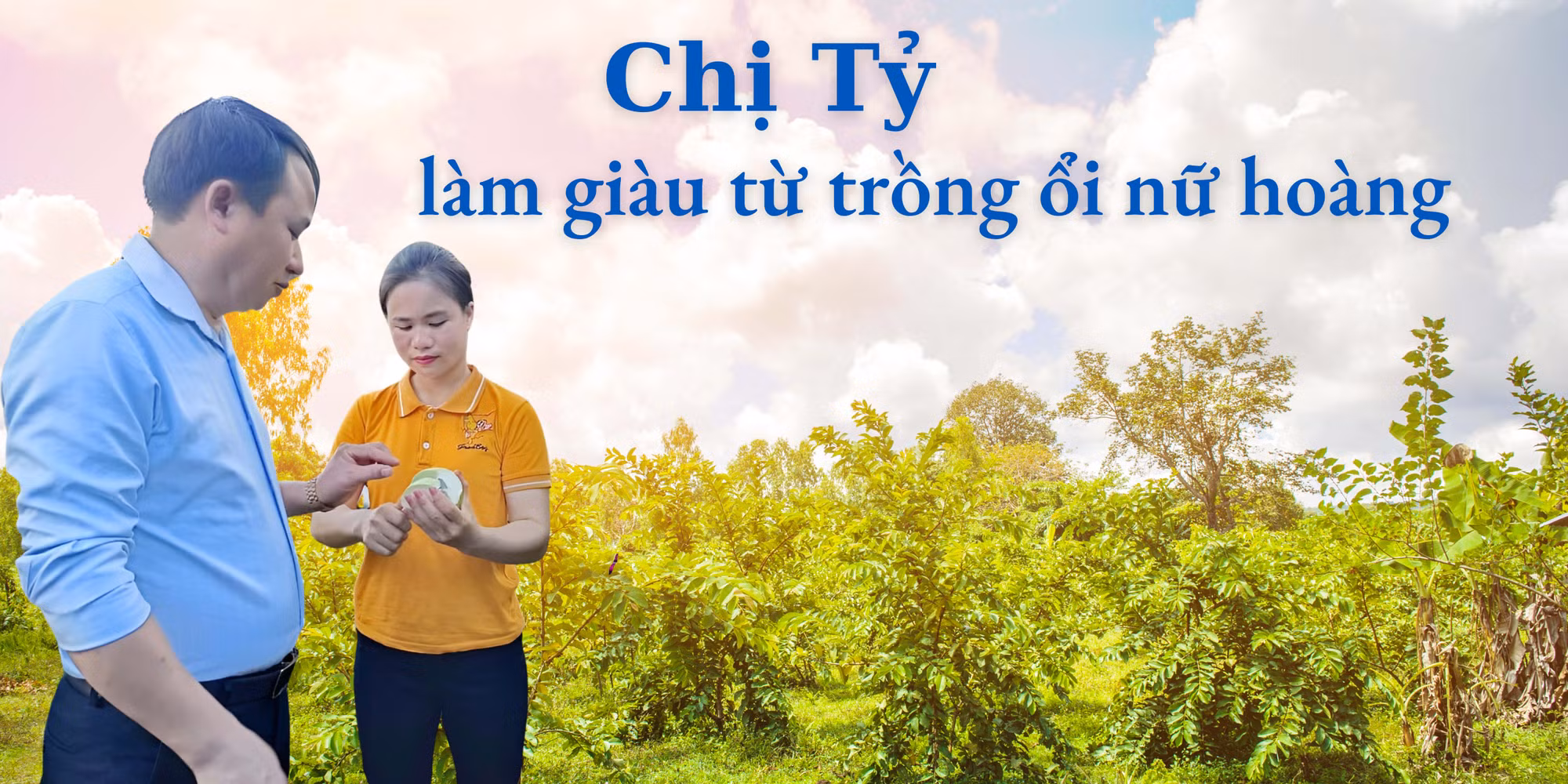 Chị Tỷ làm giàu từ trồng ổi nữ hoàng