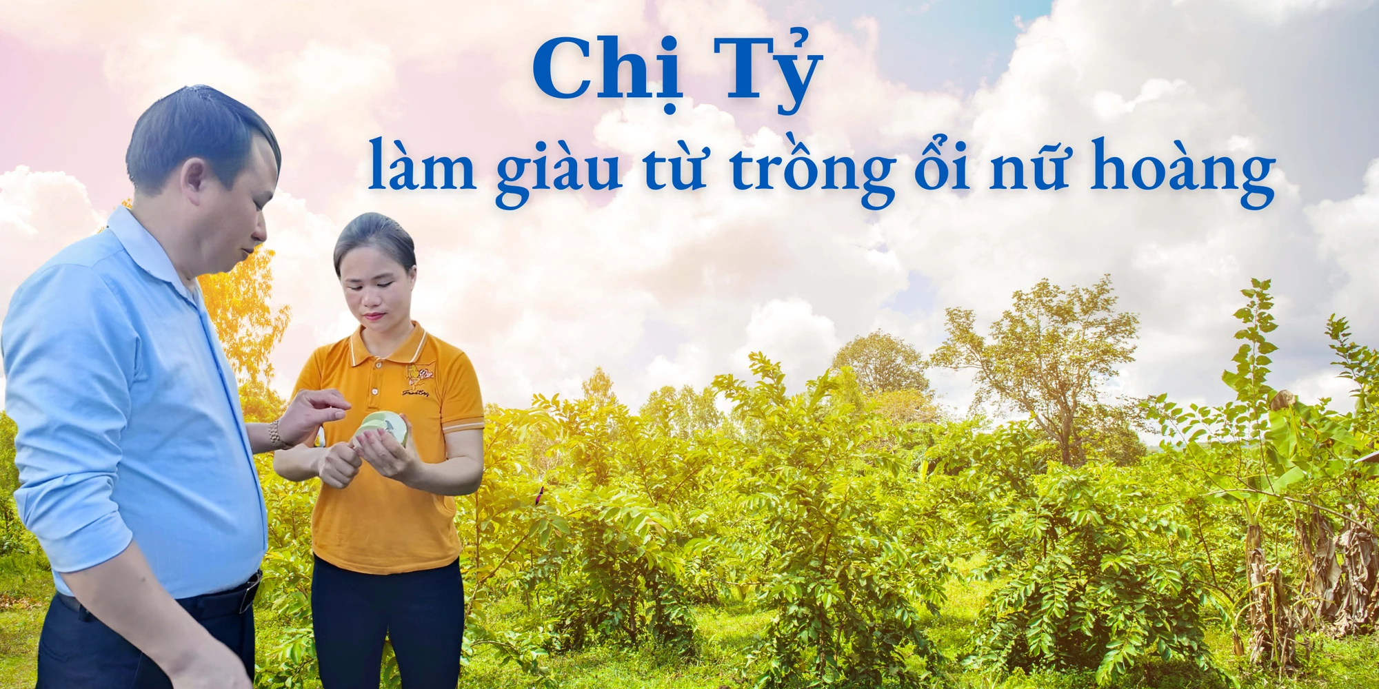 Chị Tỷ làm giàu từ trồng ổi nữ hoàng