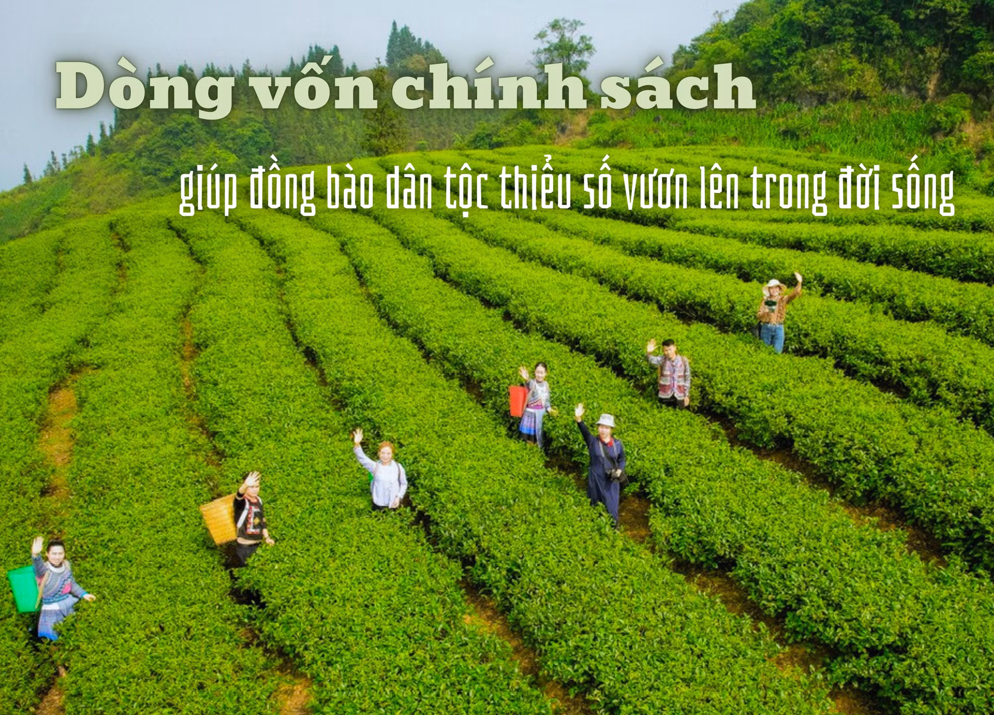 Dòng vốn chính sách giúp đồng bào dân tộc thiểu số vươn lên trong đời sống