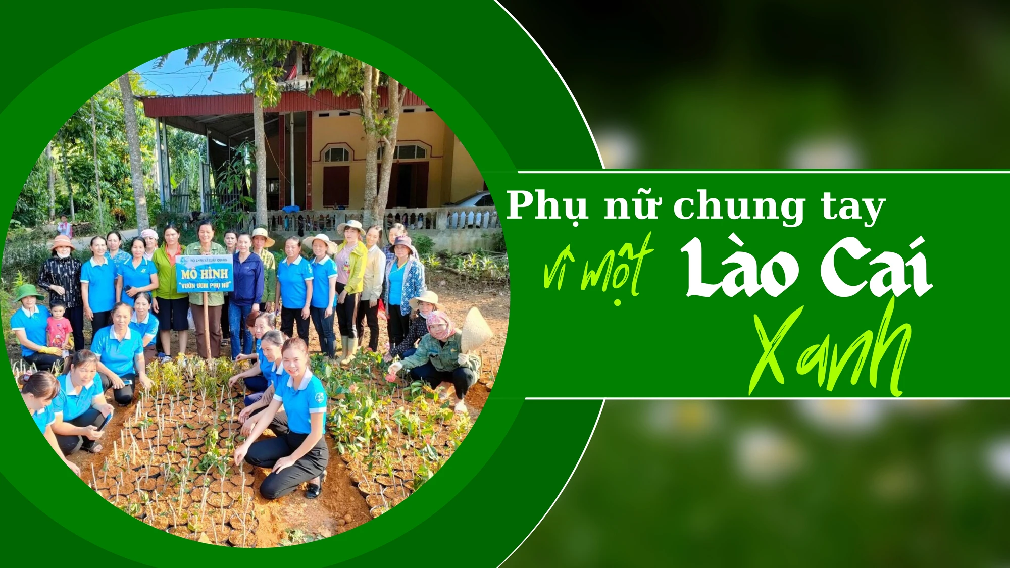 Phụ nữ chung tay vì một Lào Cai xanh